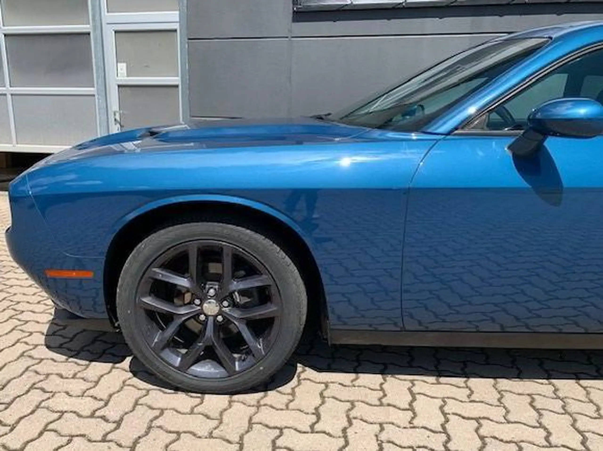 Dodge - Challenger