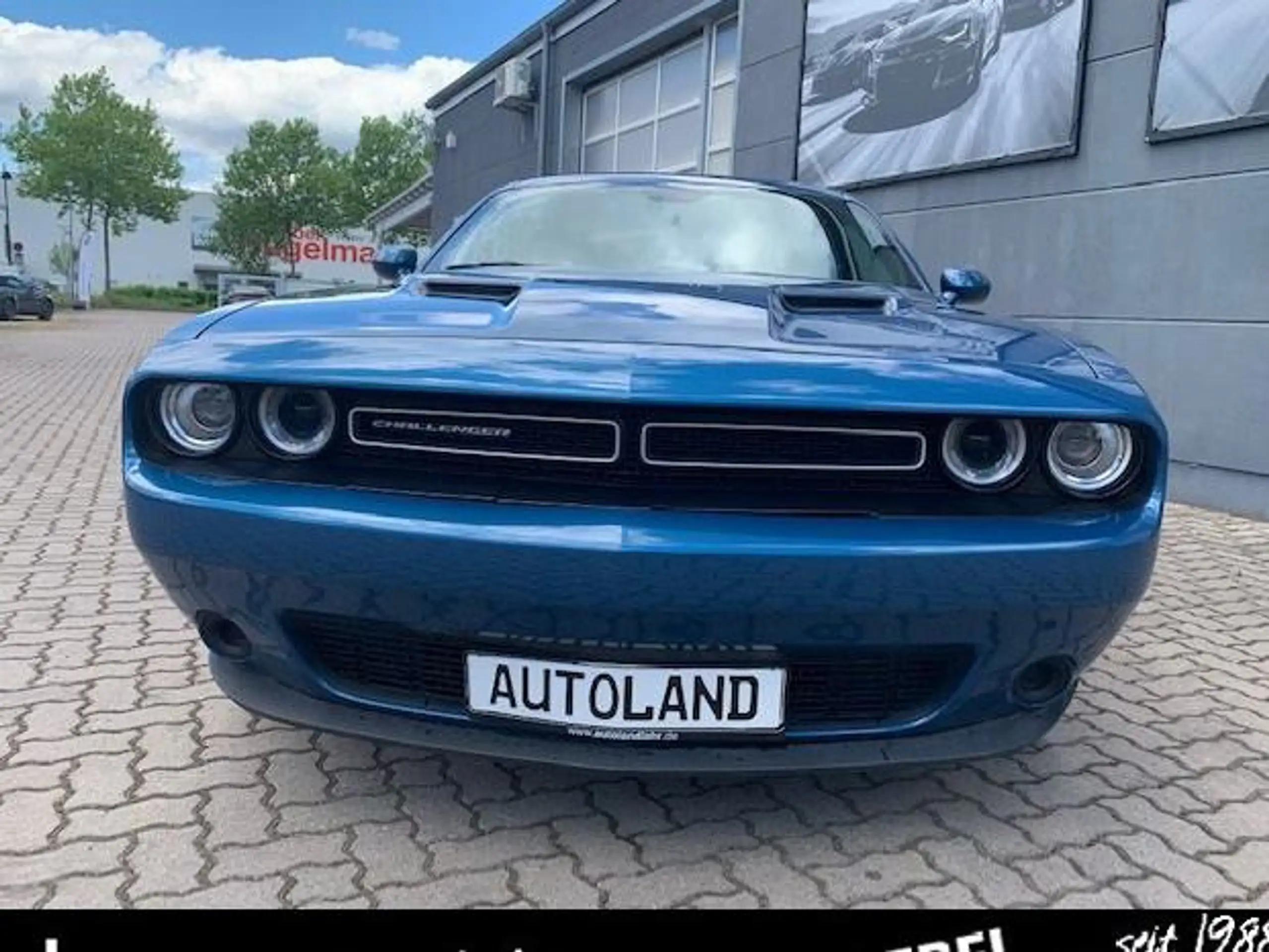 Dodge - Challenger