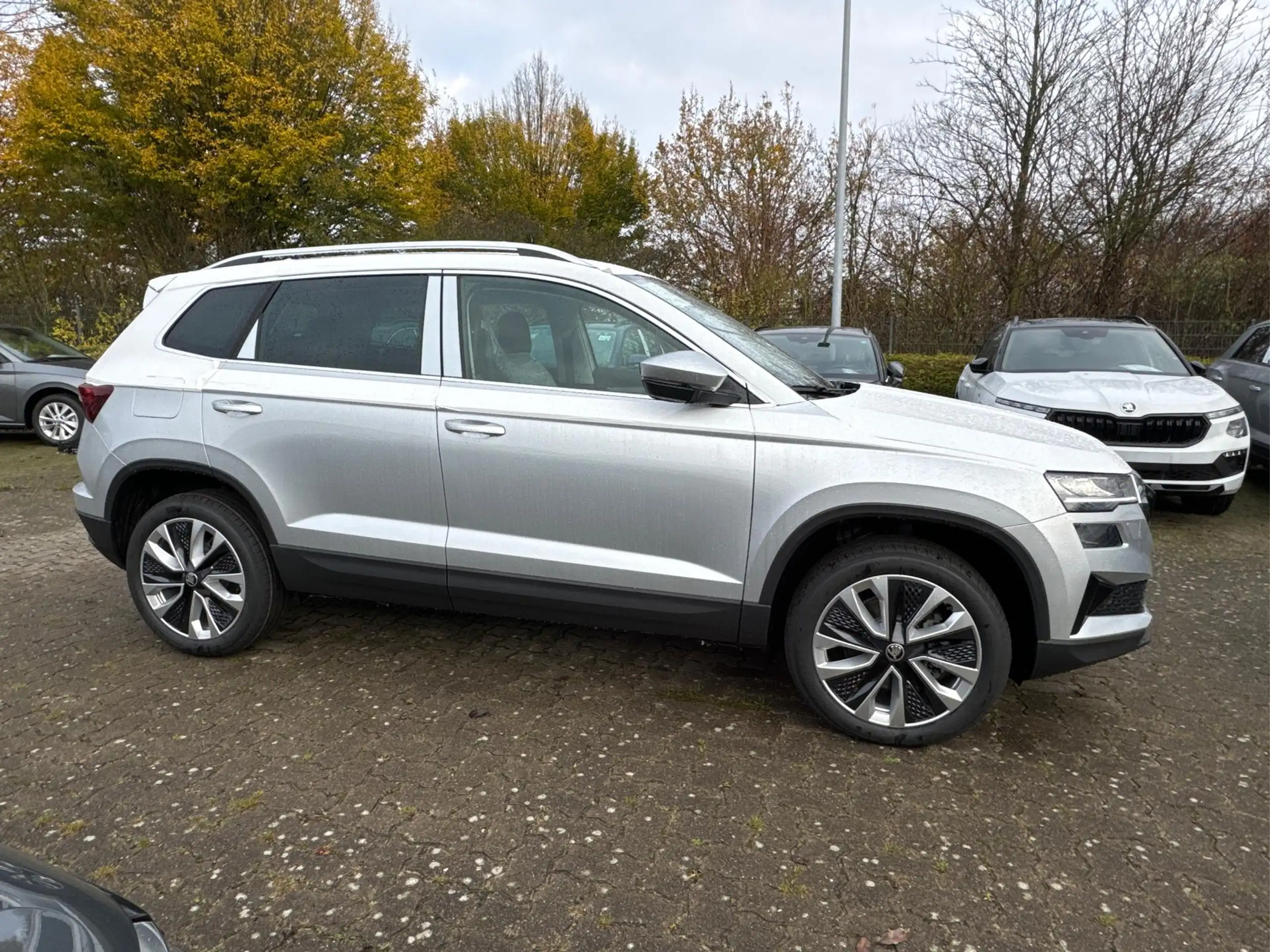 Skoda - Karoq