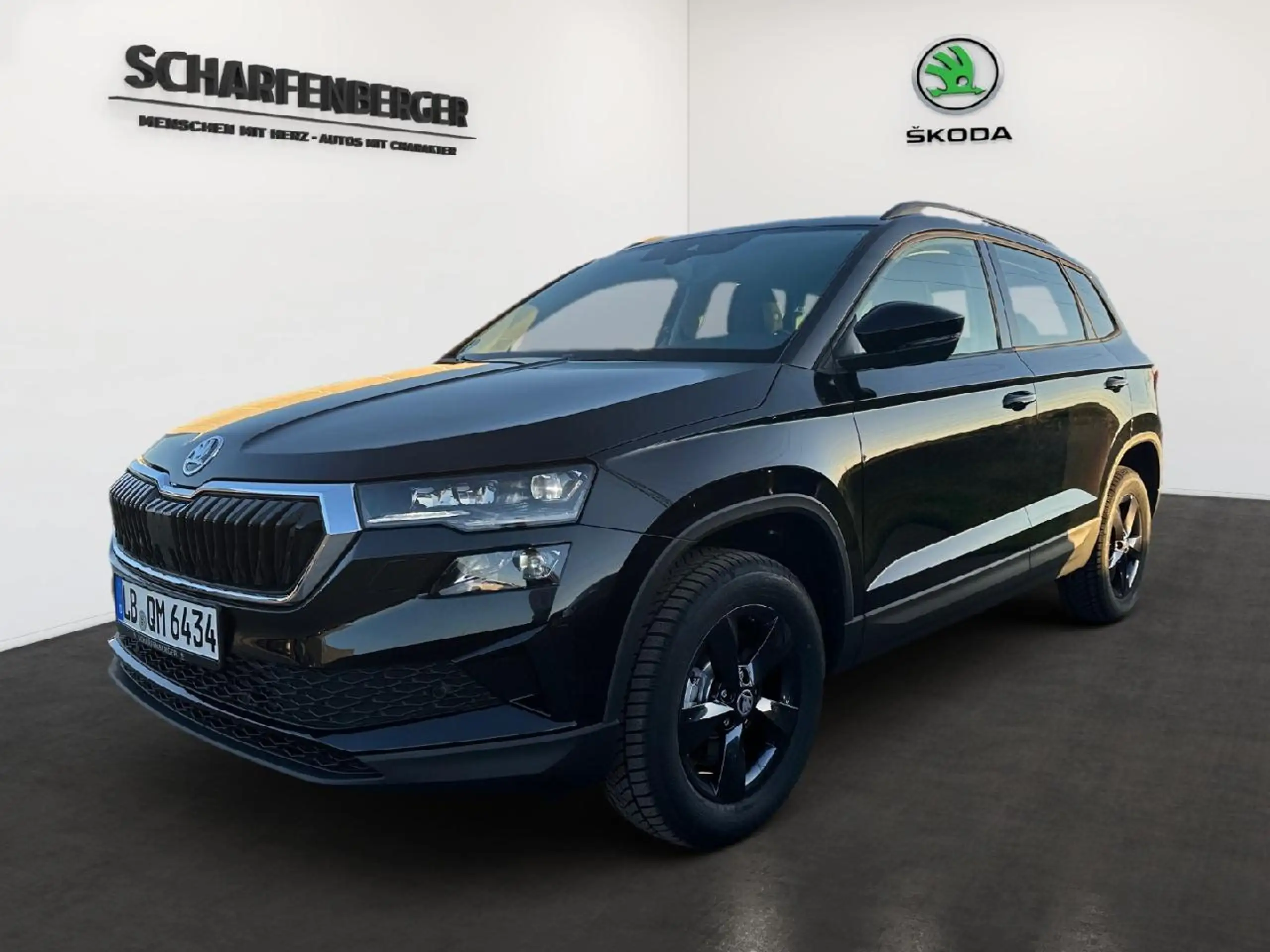 Skoda - Karoq