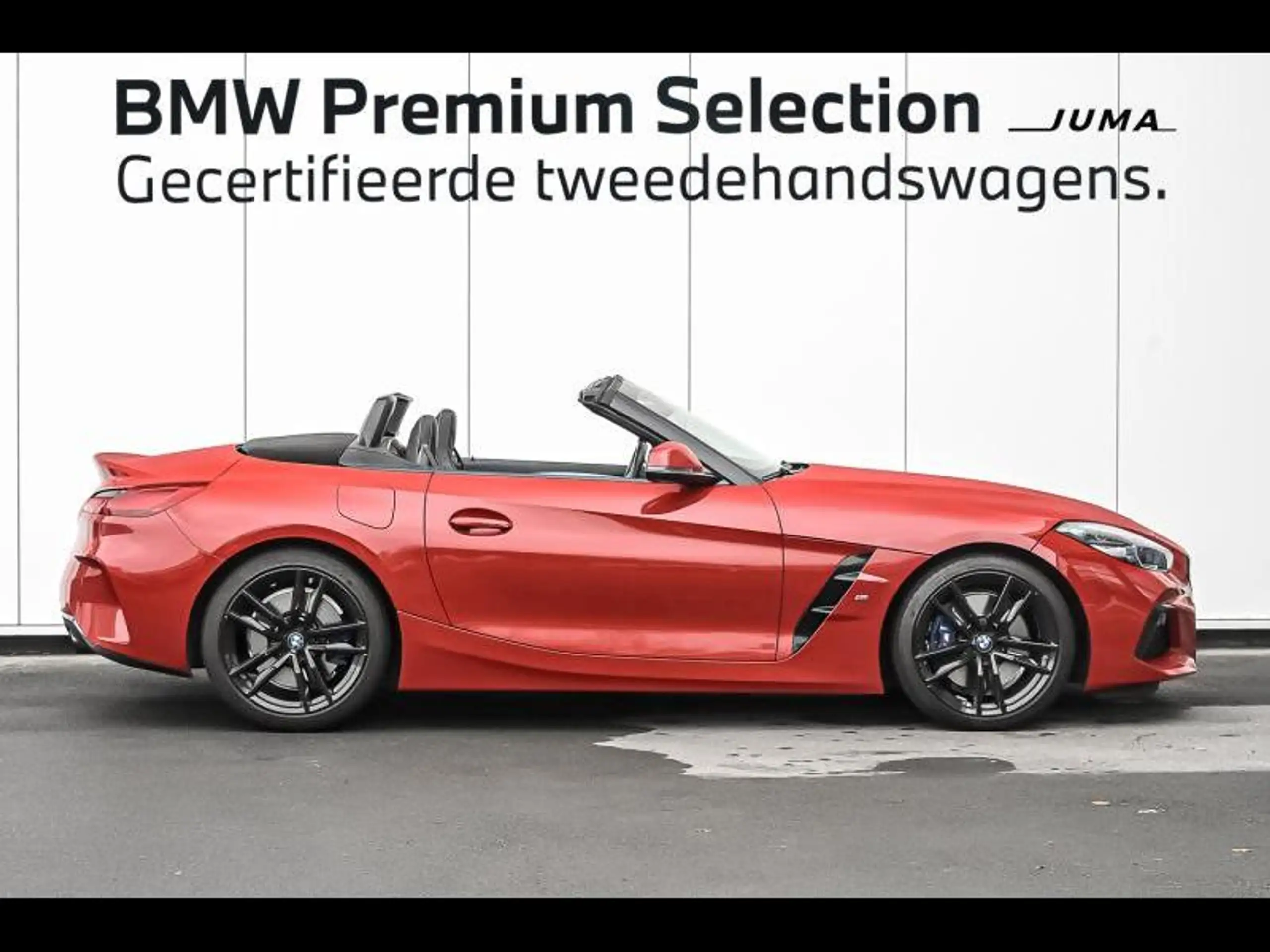 BMW - Z4