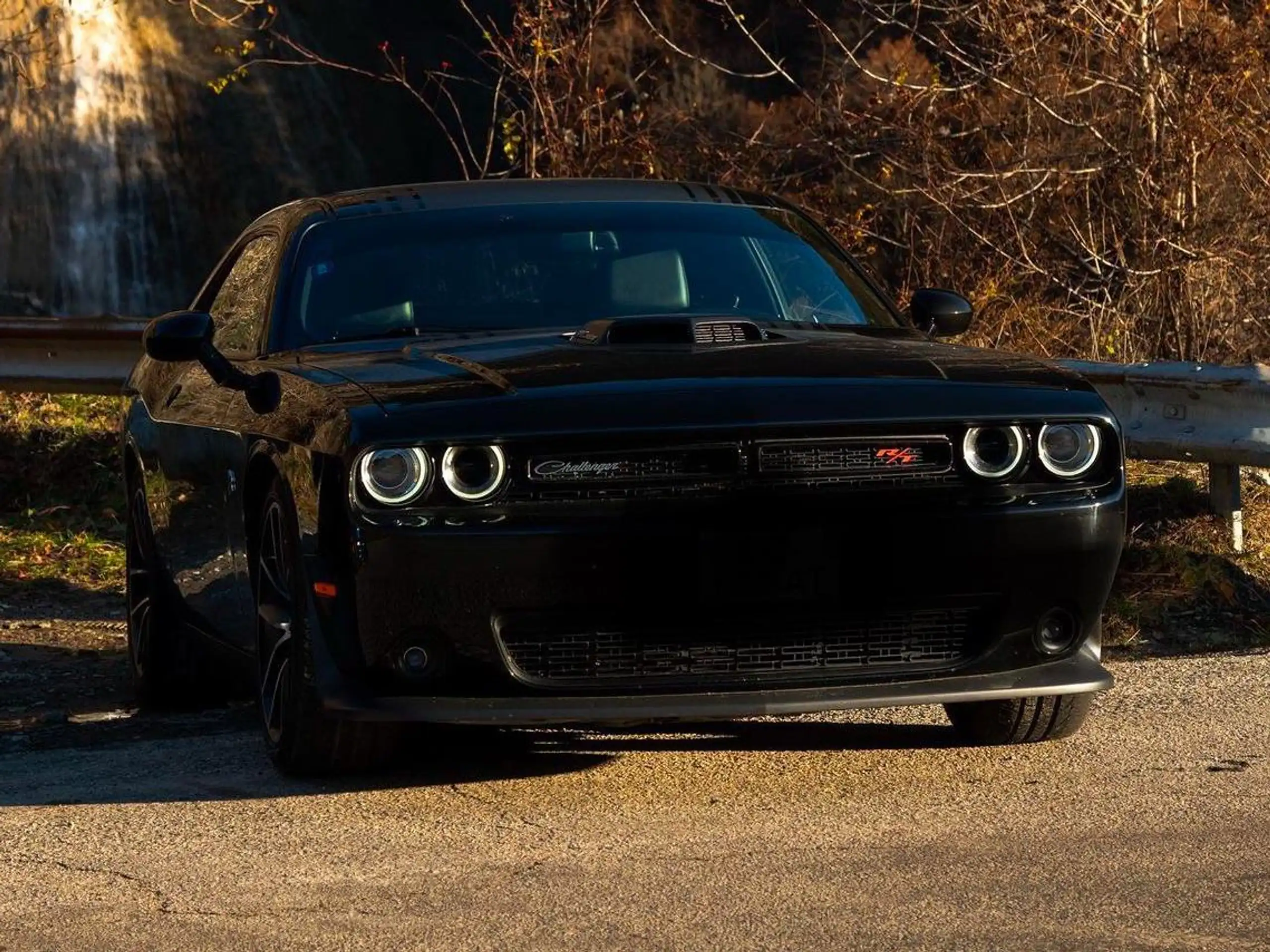 Dodge - Challenger