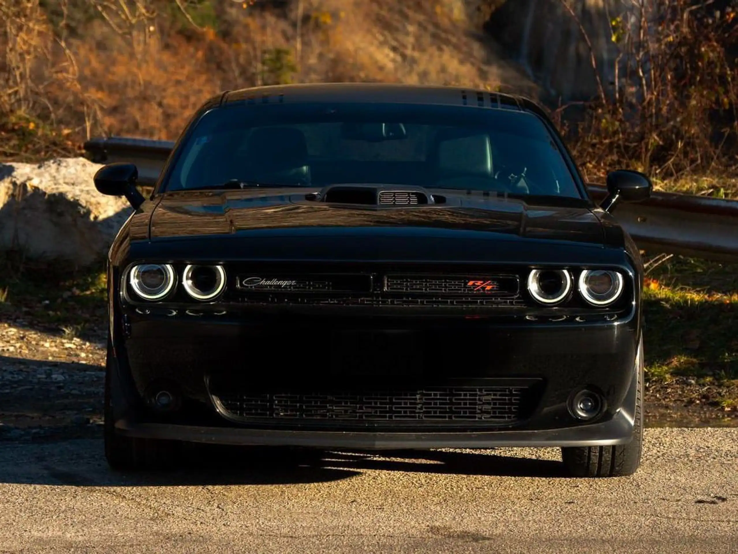 Dodge - Challenger