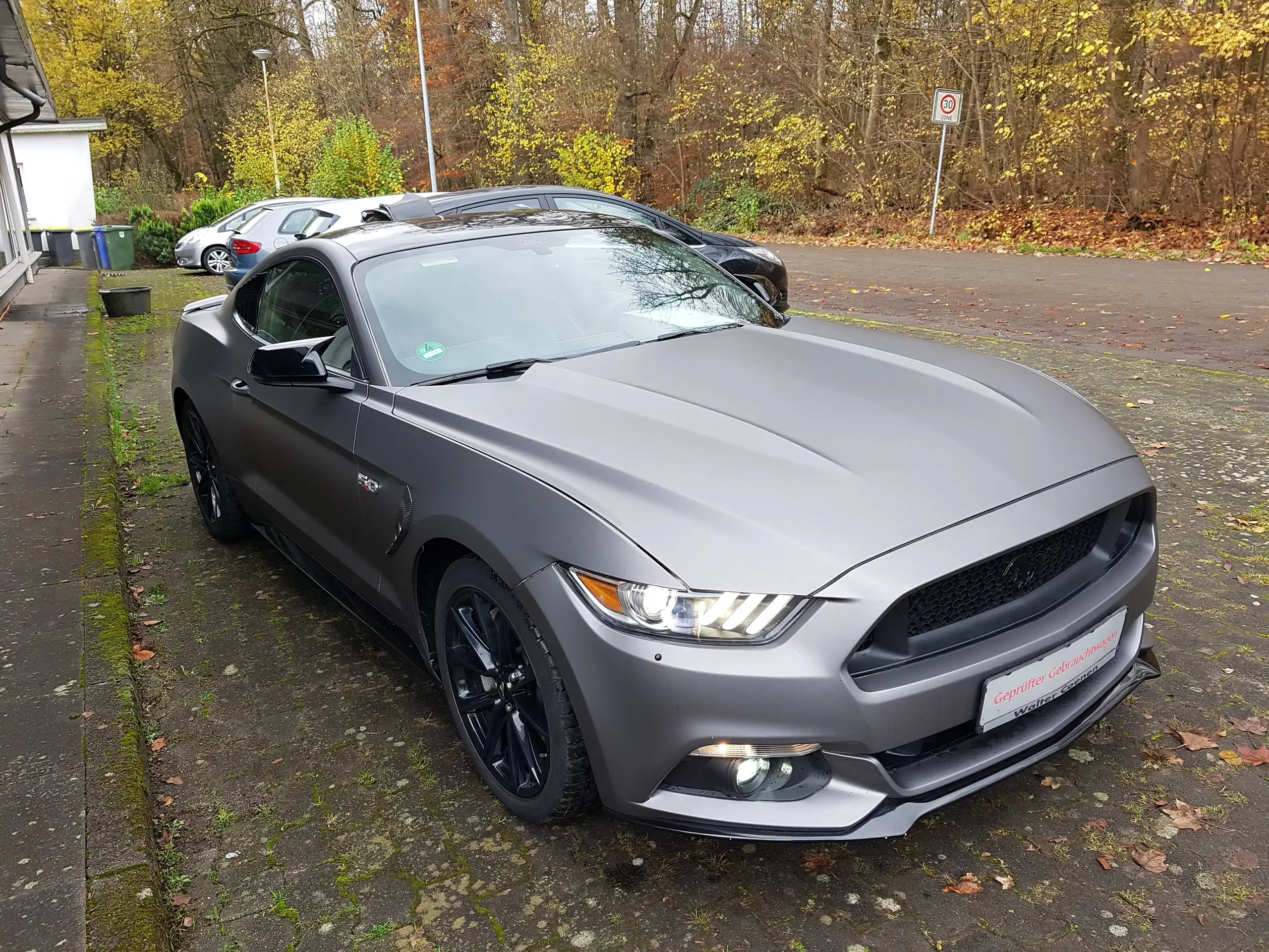 Ford - Mustang