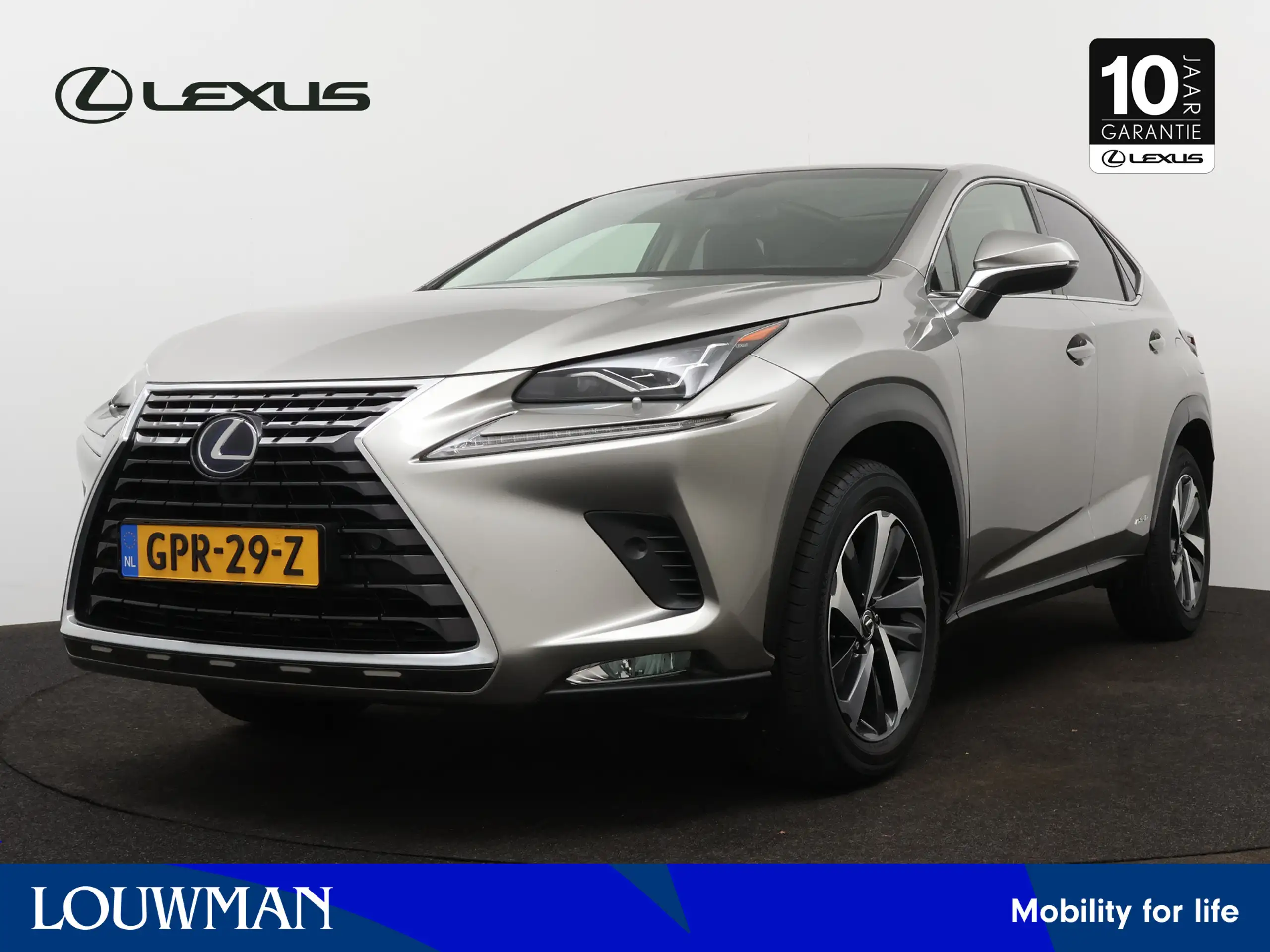 Lexus - NX 300h