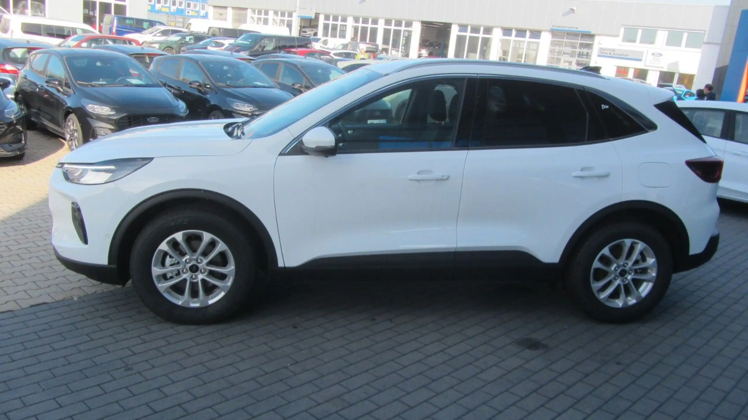 Ford - Kuga