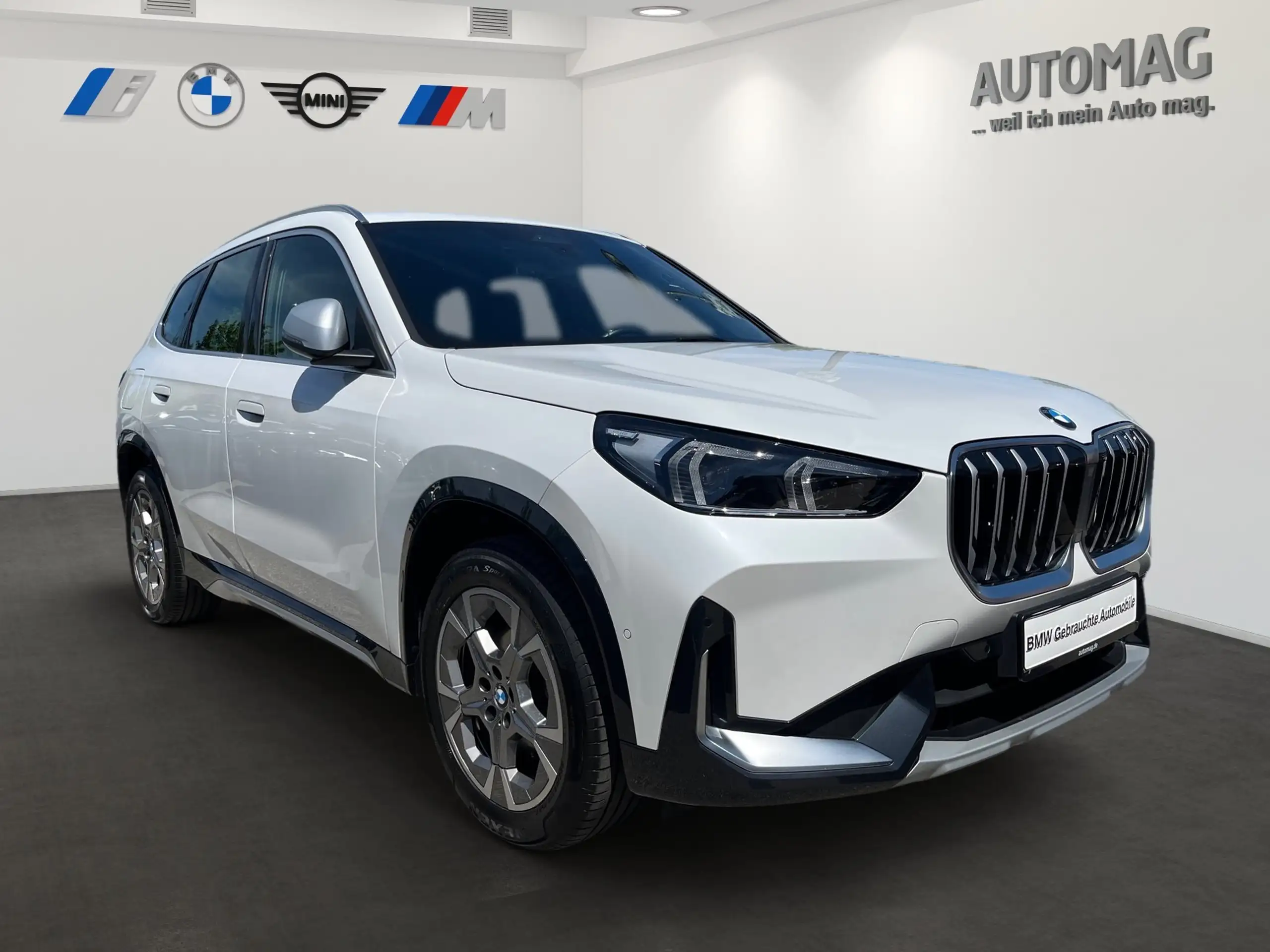 BMW - X1