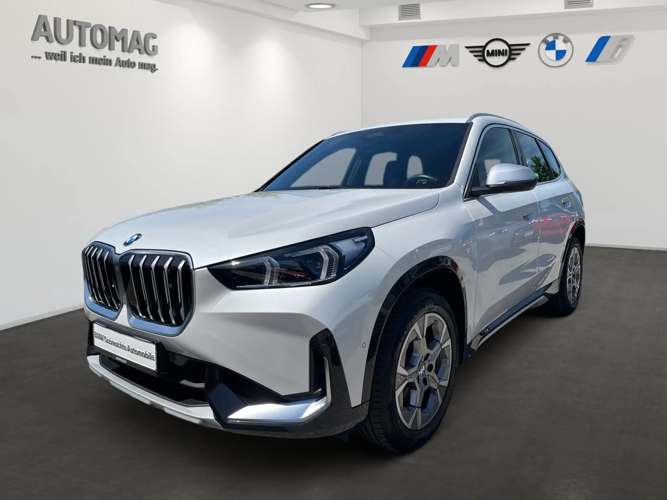 BMW - X1