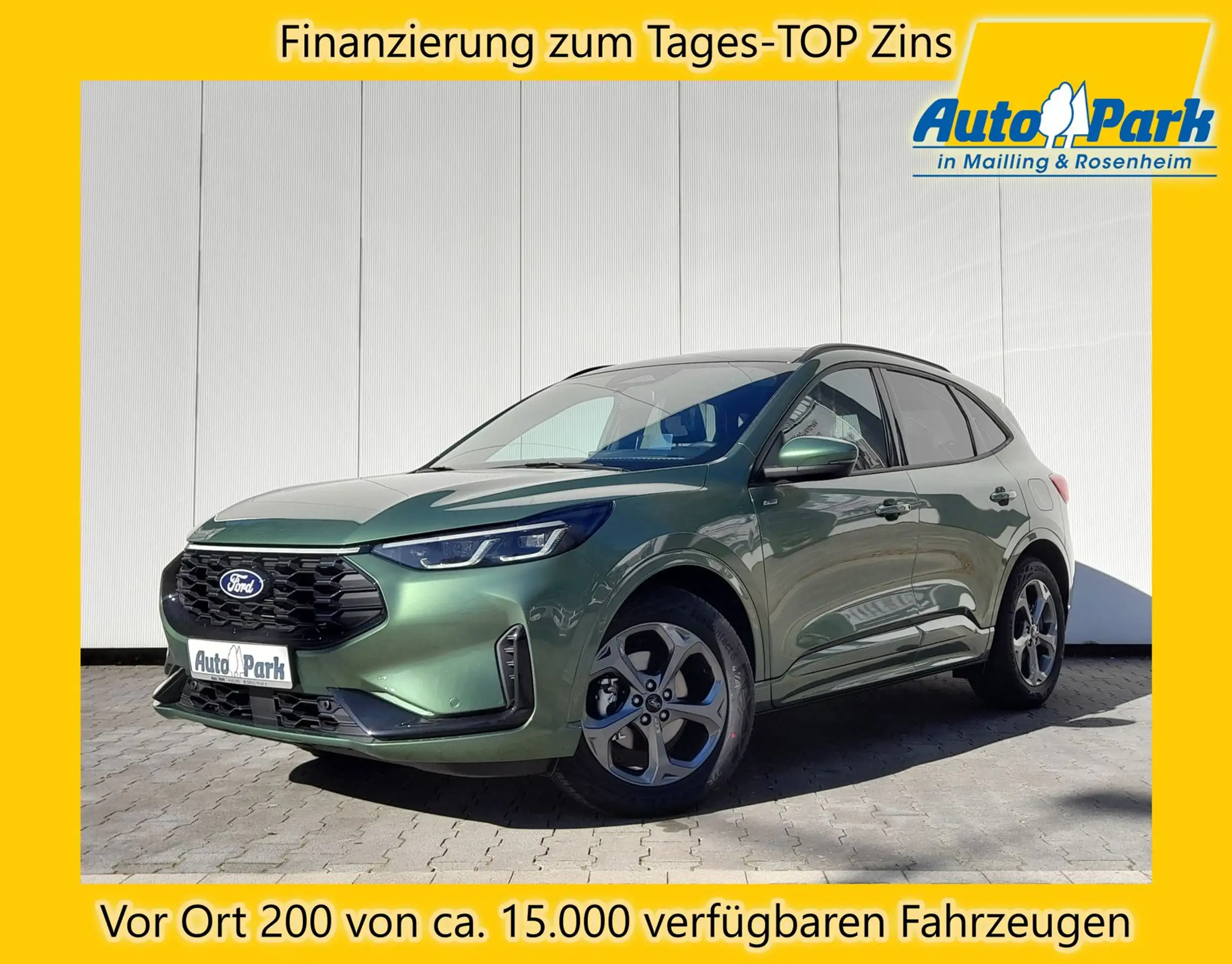 Ford - Kuga