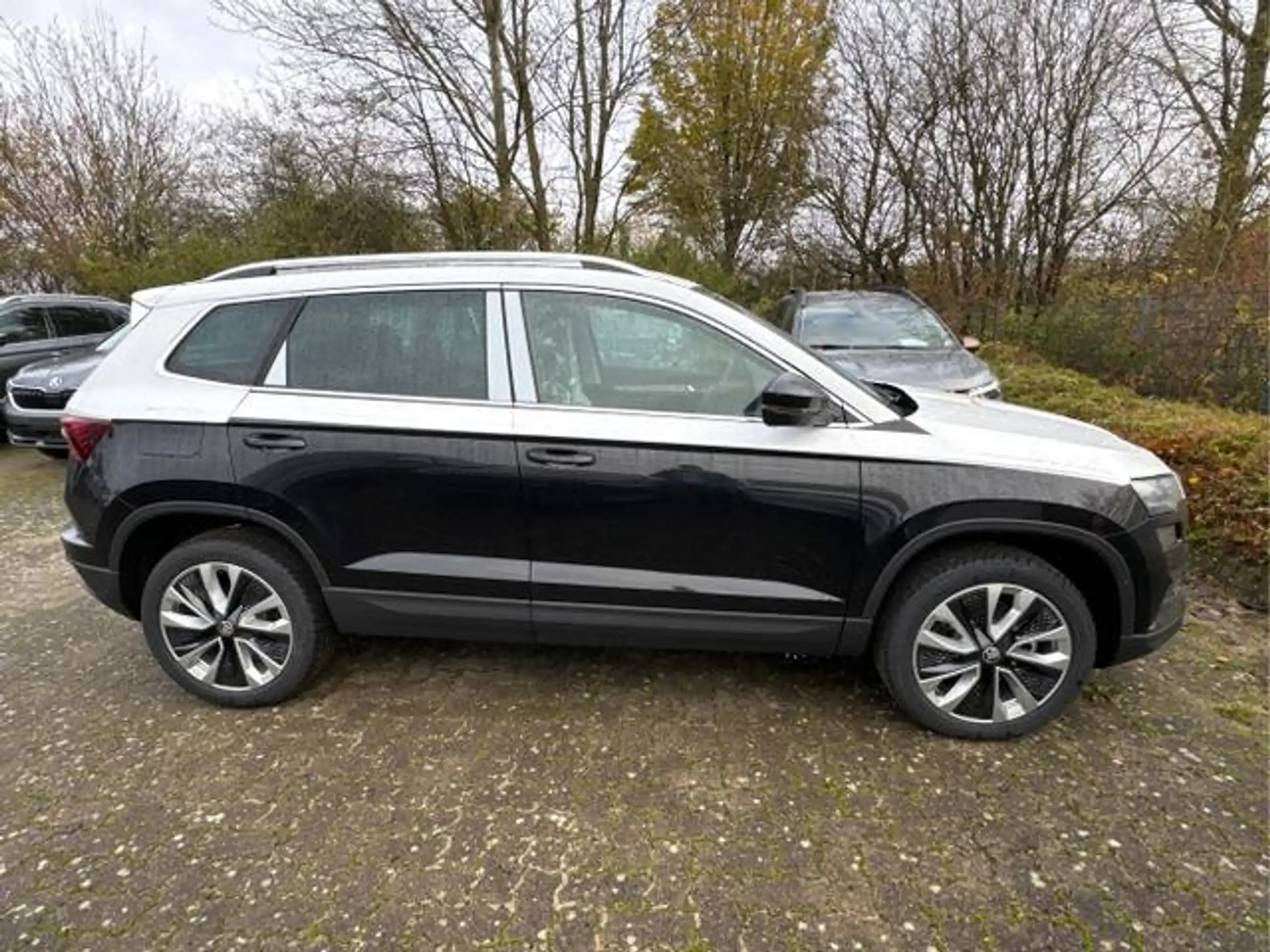 Skoda - Karoq