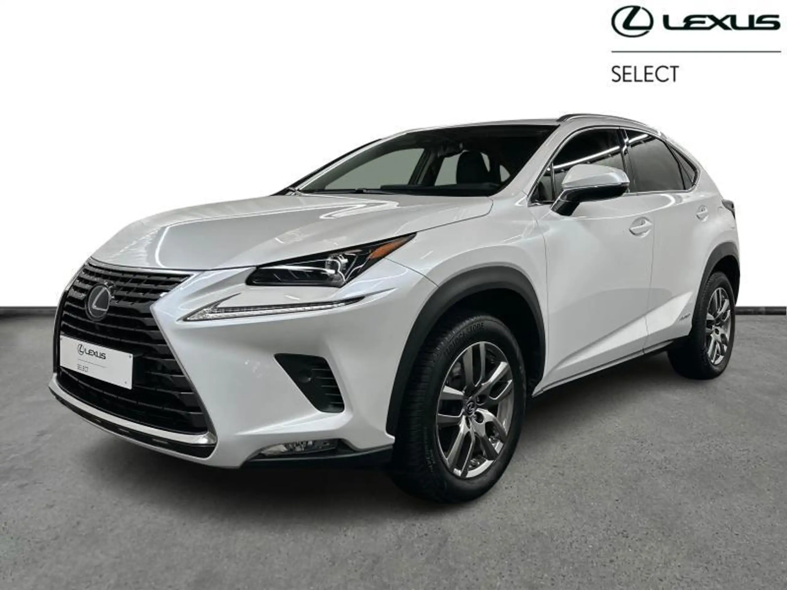 Lexus NX 300h 2021