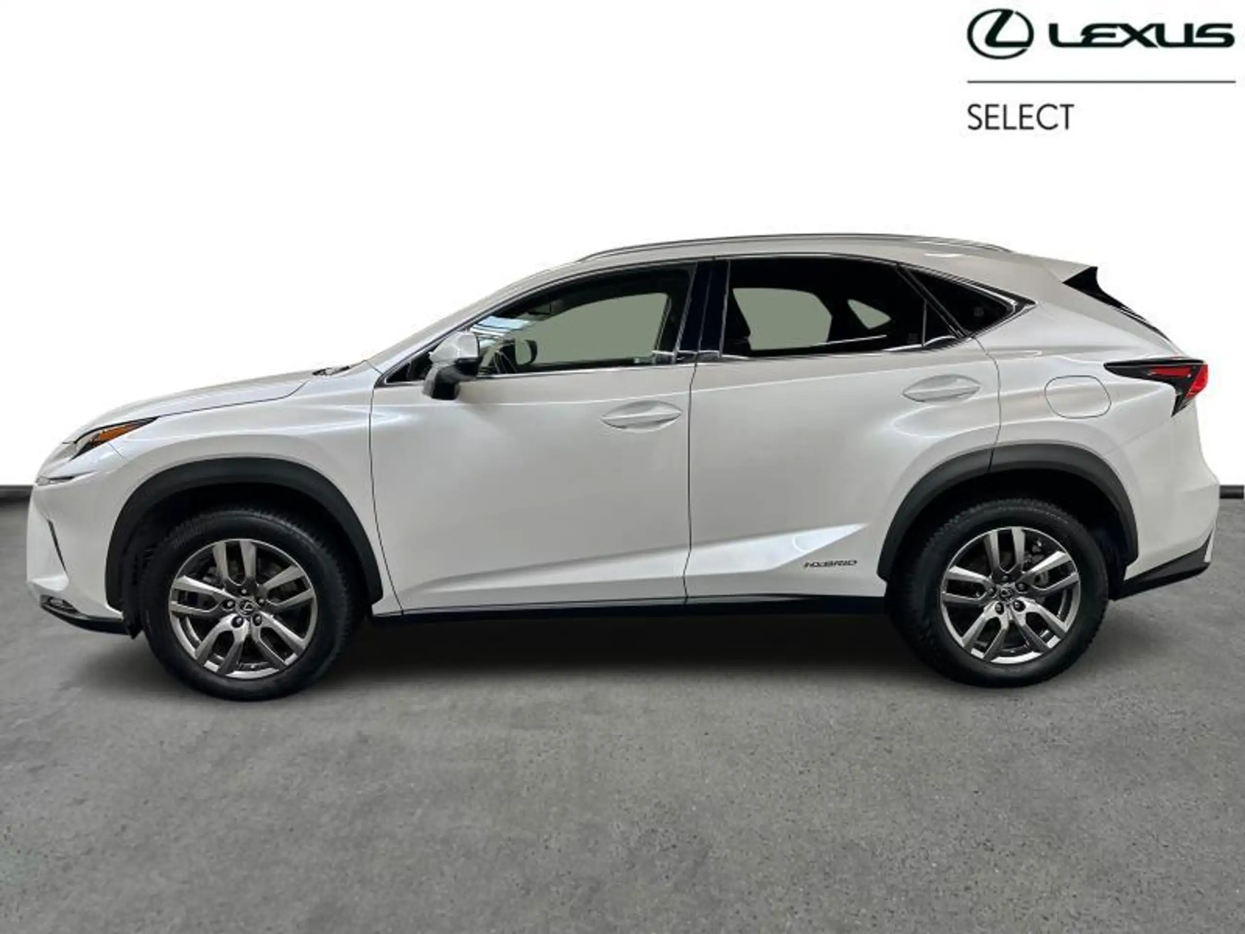 Lexus - NX 300h