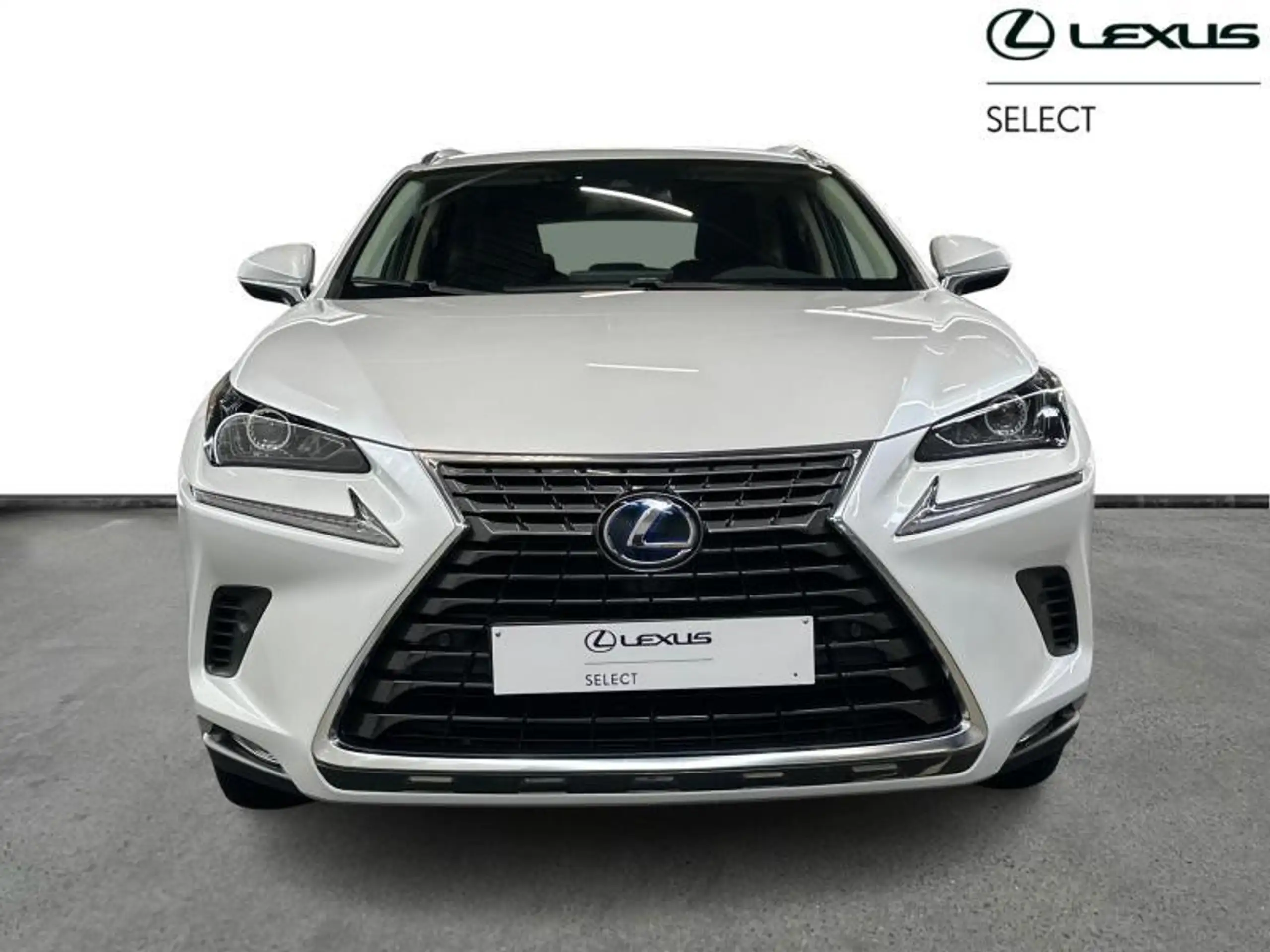 Lexus - NX 300h