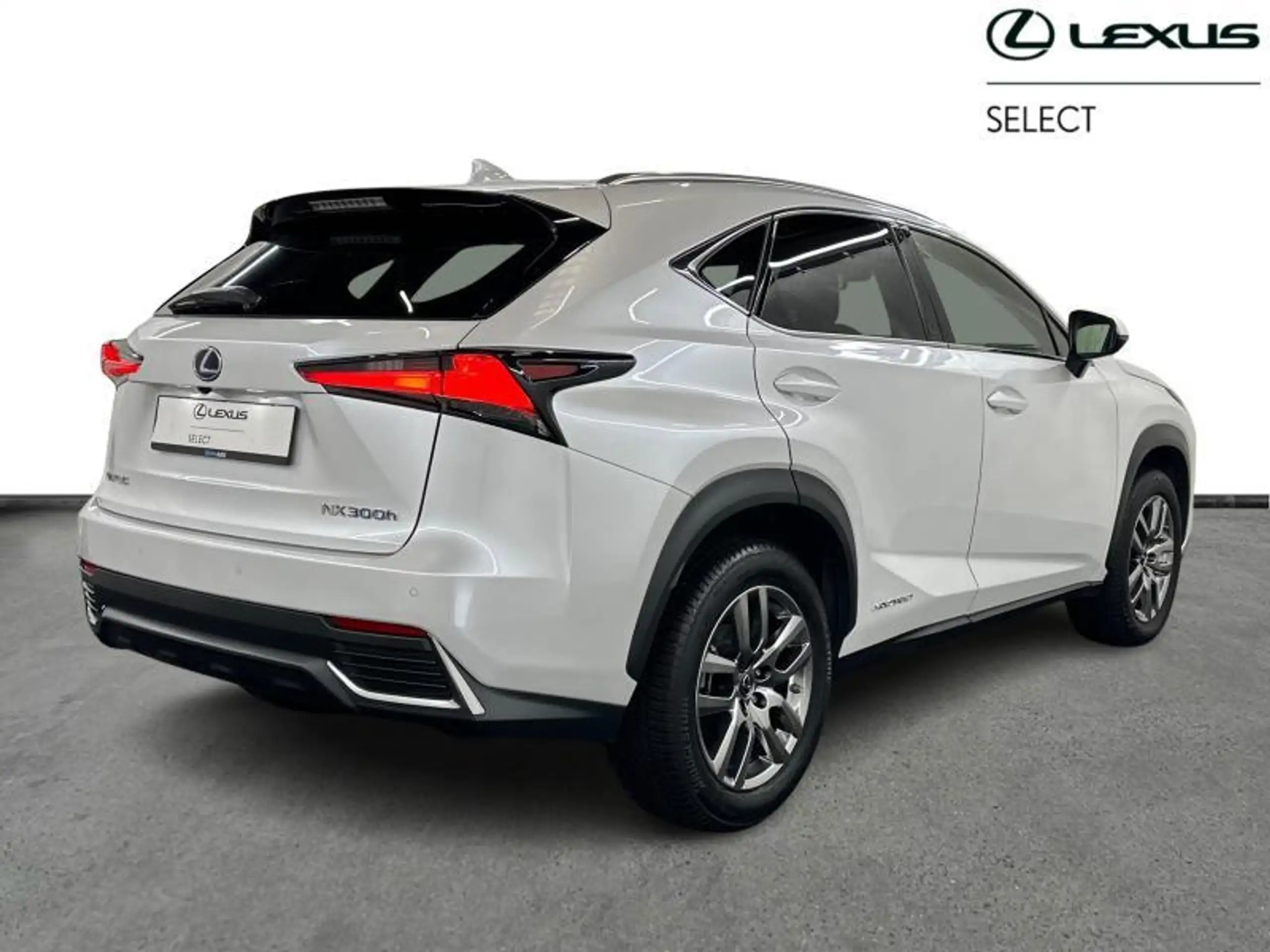 Lexus - NX 300h