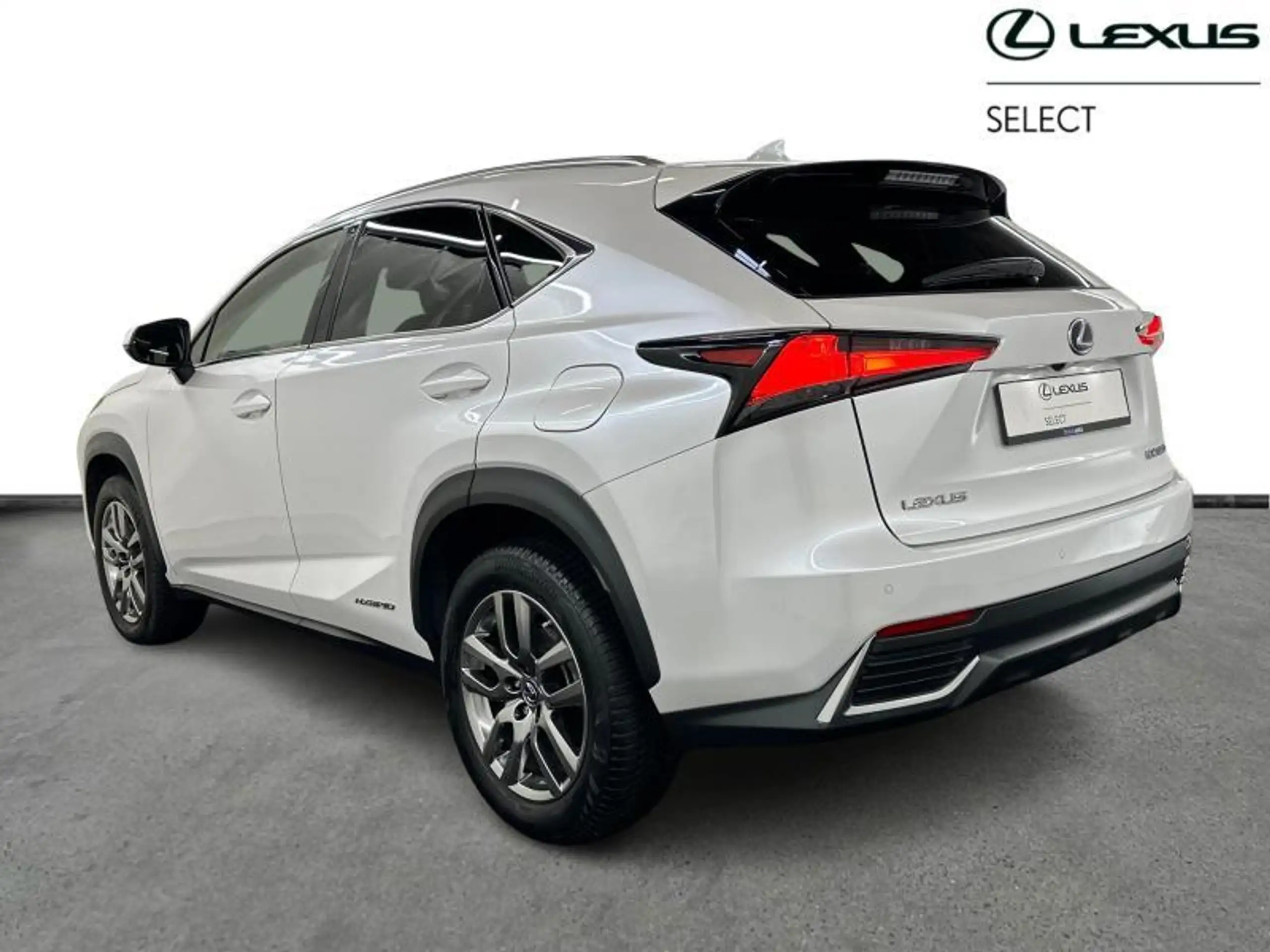 Lexus - NX 300h