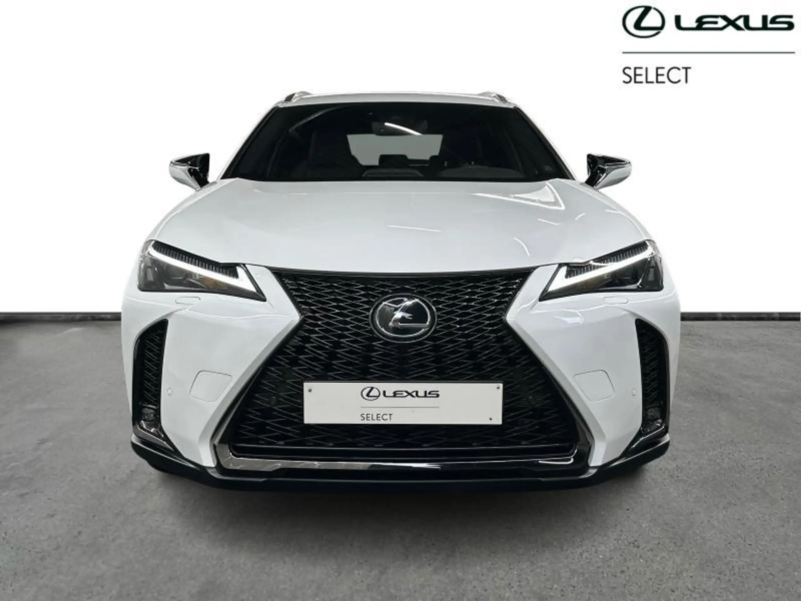 Lexus - UX 250h