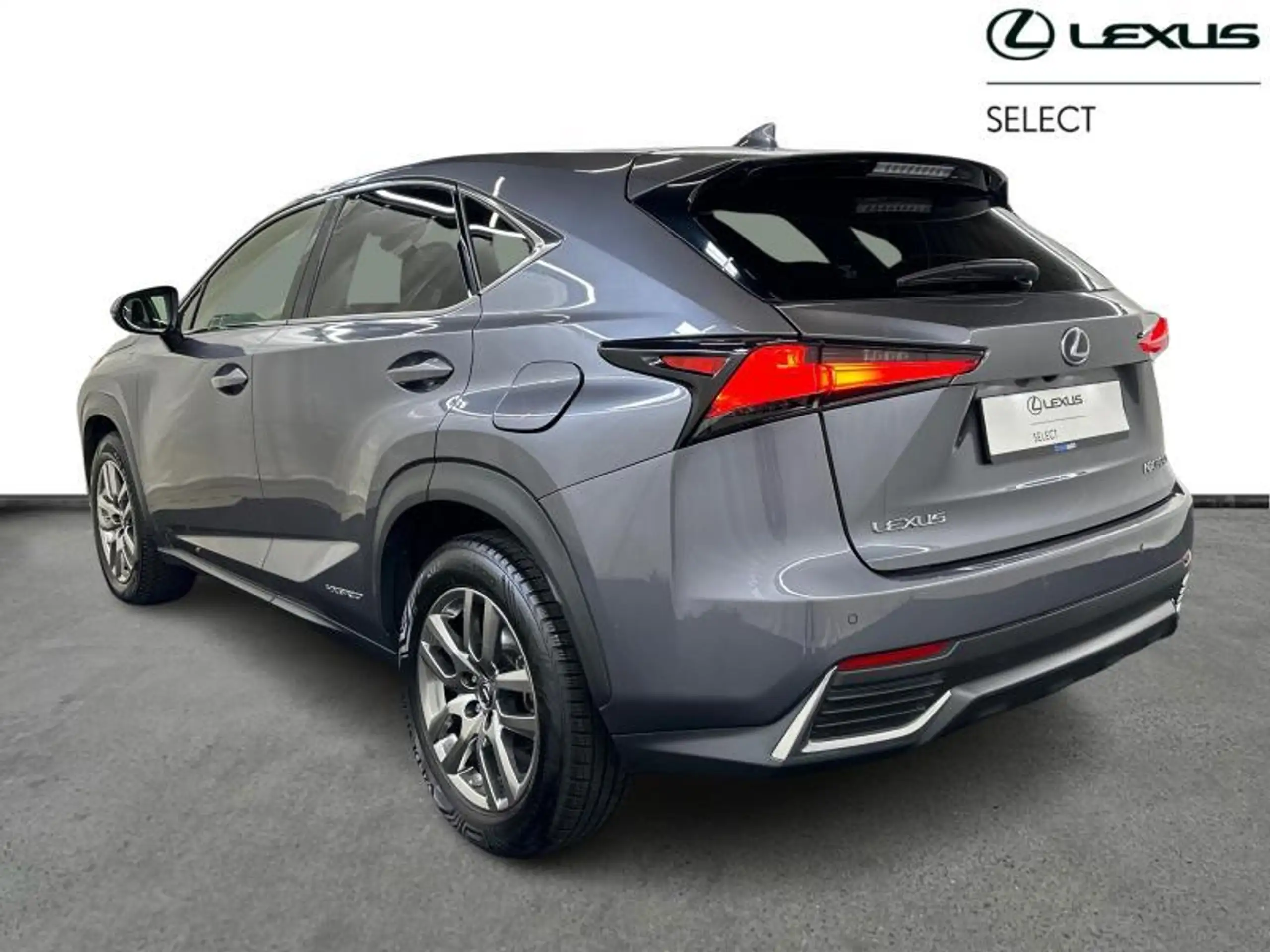 Lexus - NX 300h