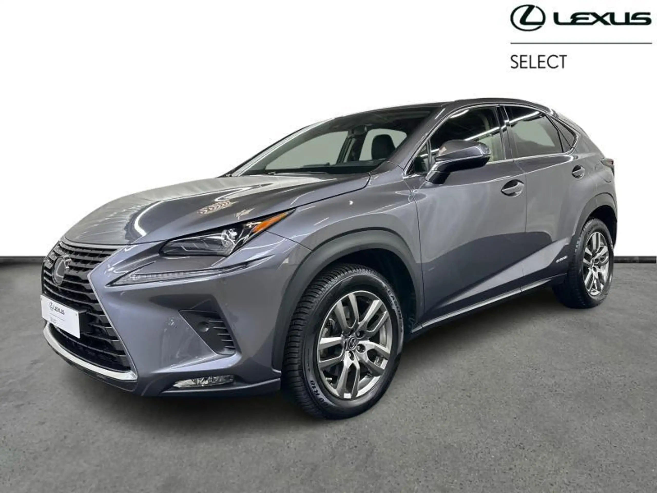 Lexus - NX 300h