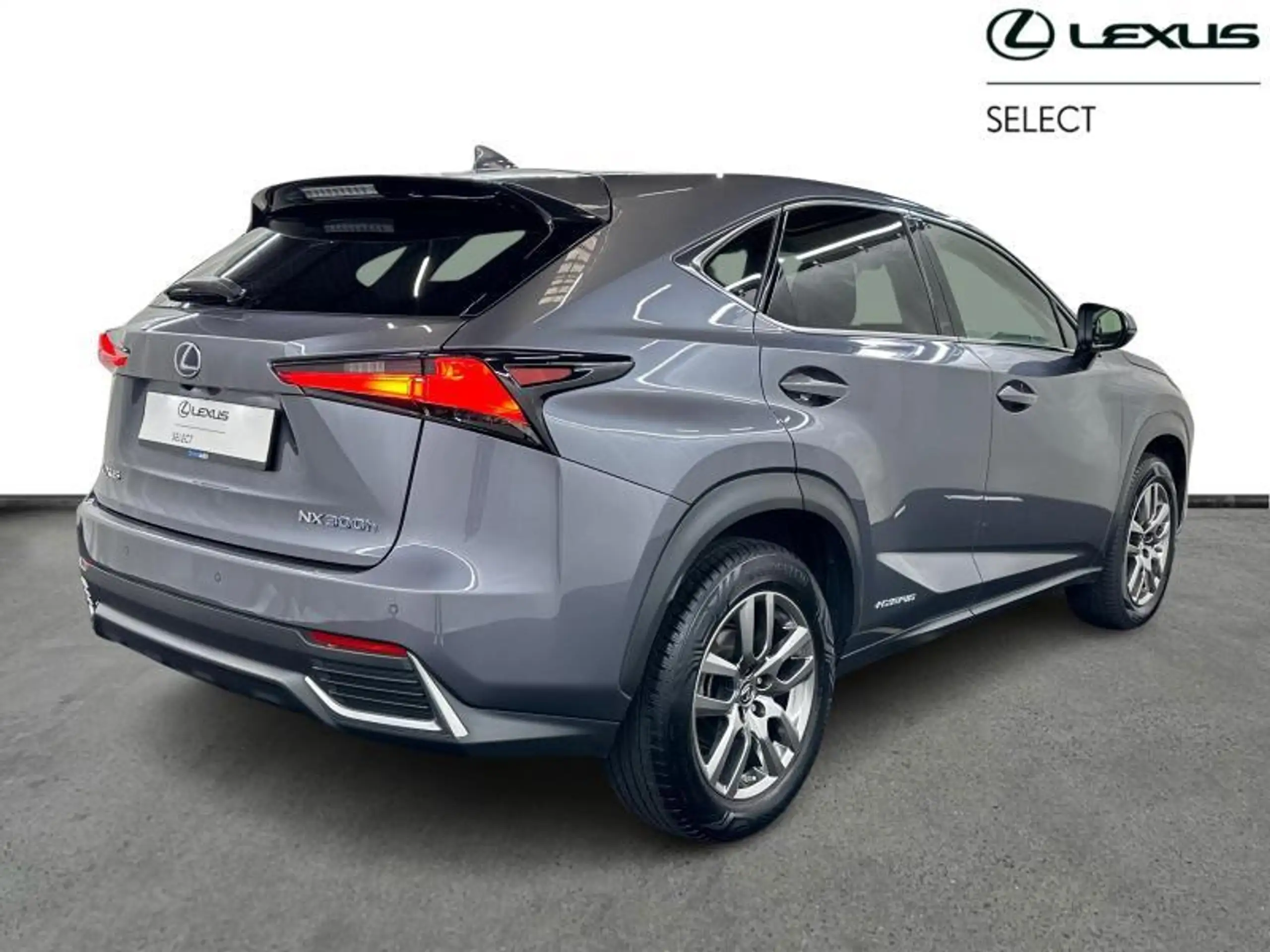 Lexus - NX 300h