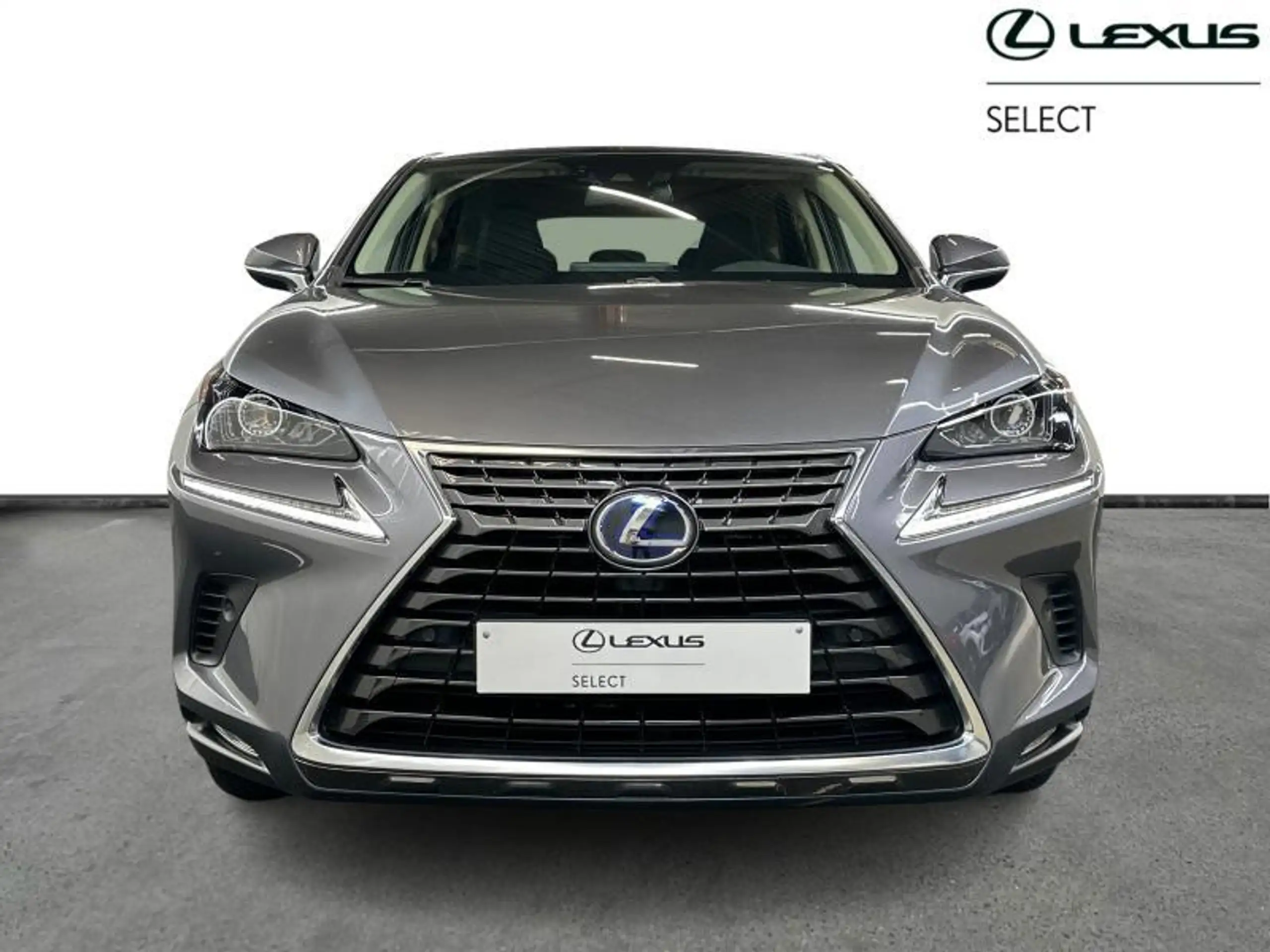 Lexus - NX 300h