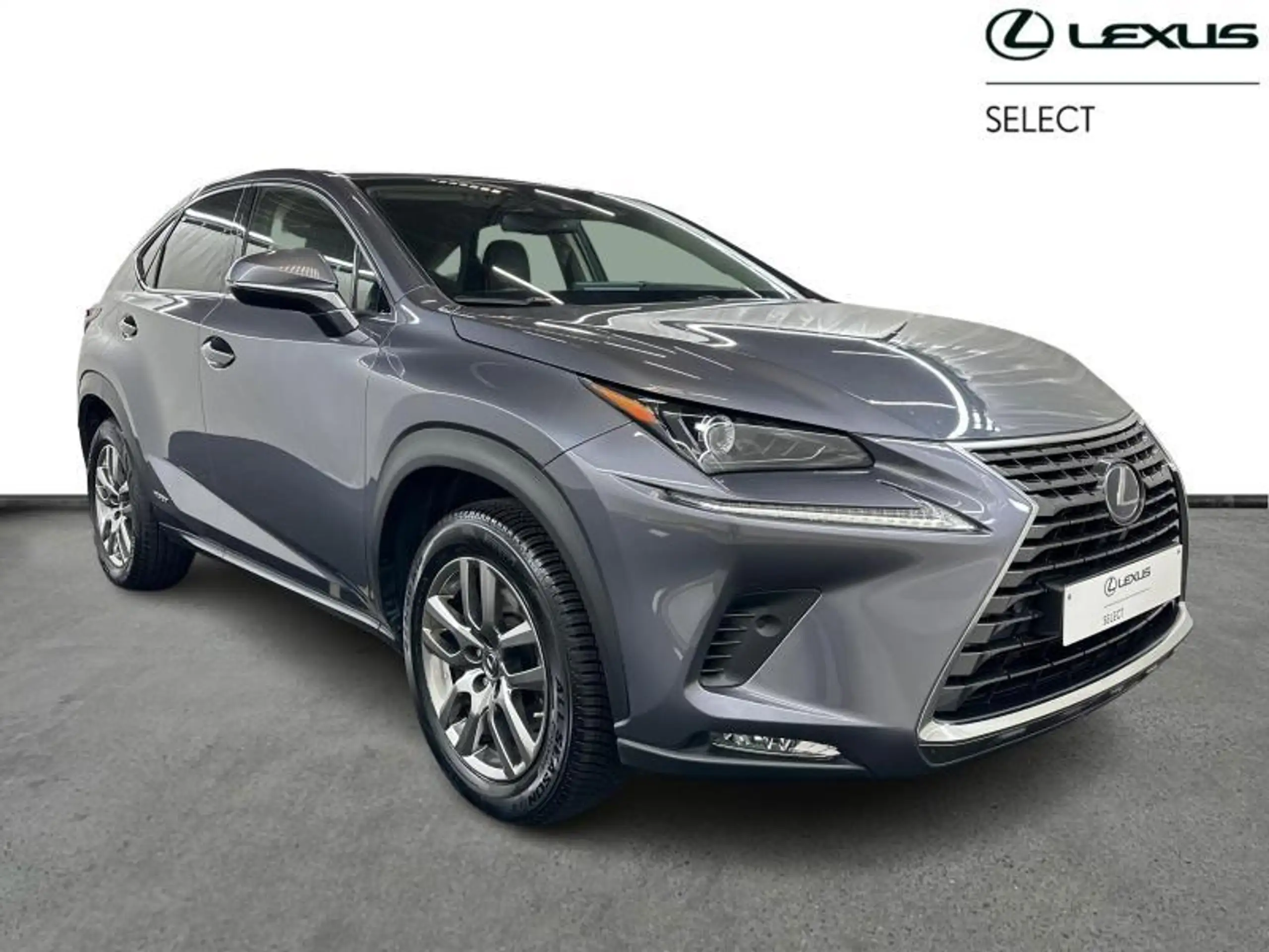 Lexus - NX 300h