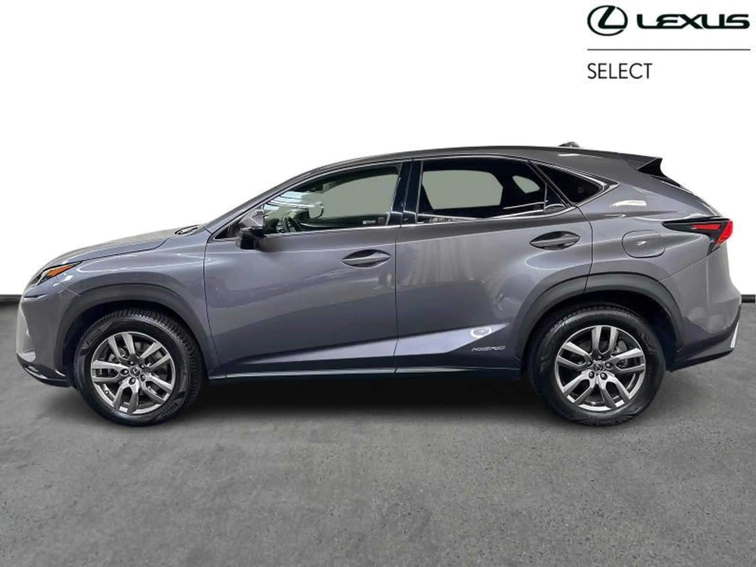 Lexus - NX 300h