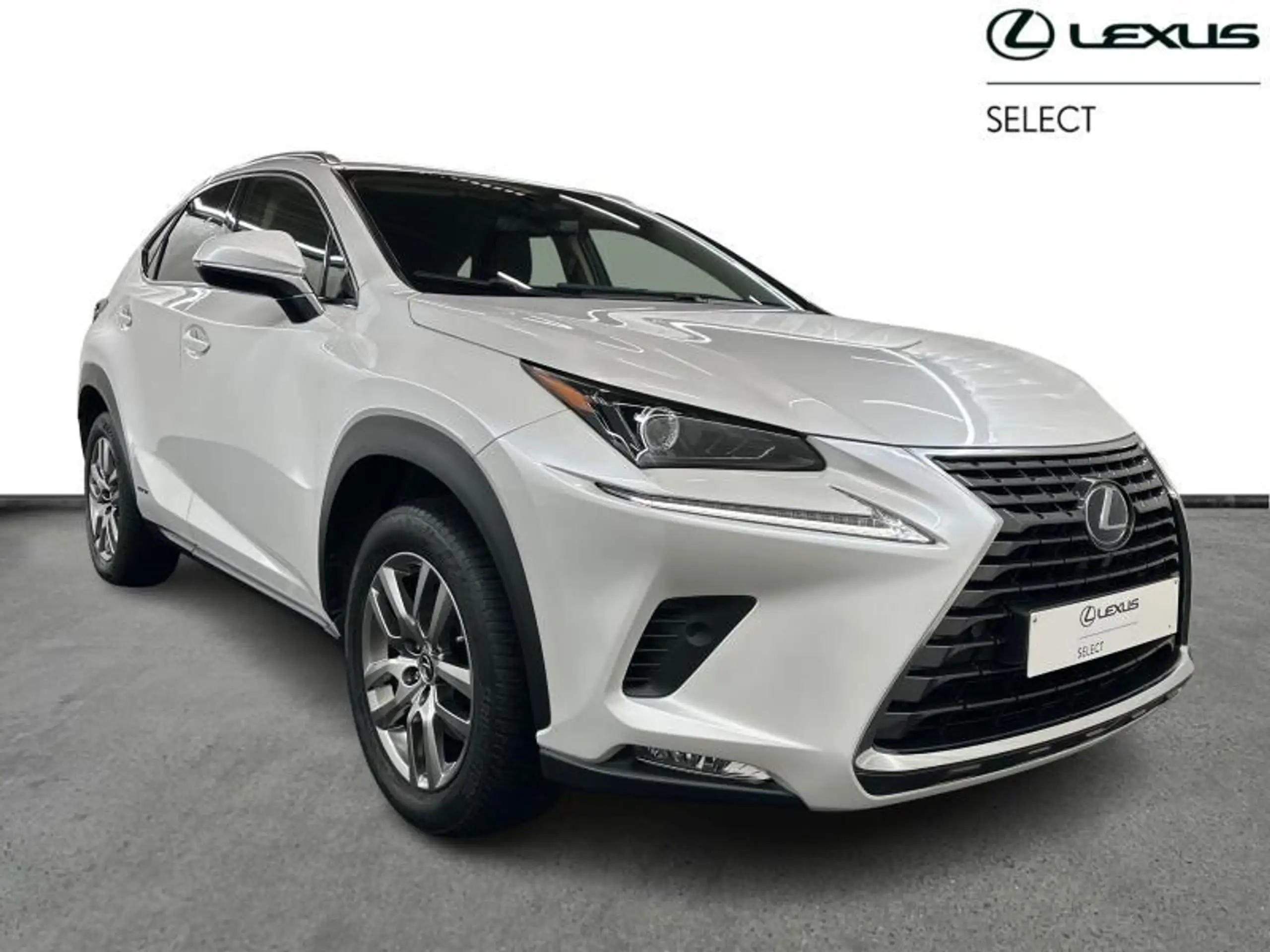 Lexus - NX 300h