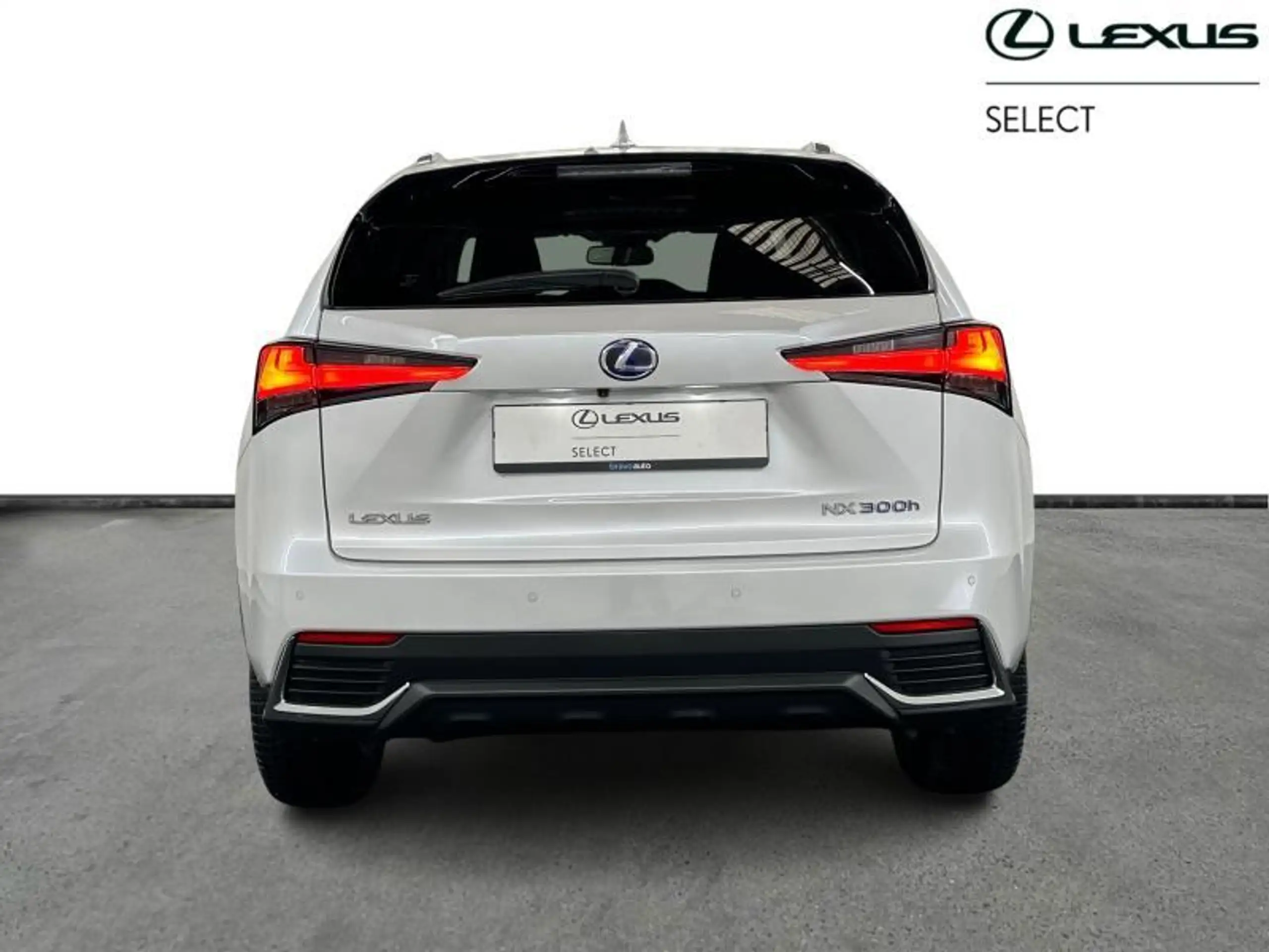 Lexus - NX 300h