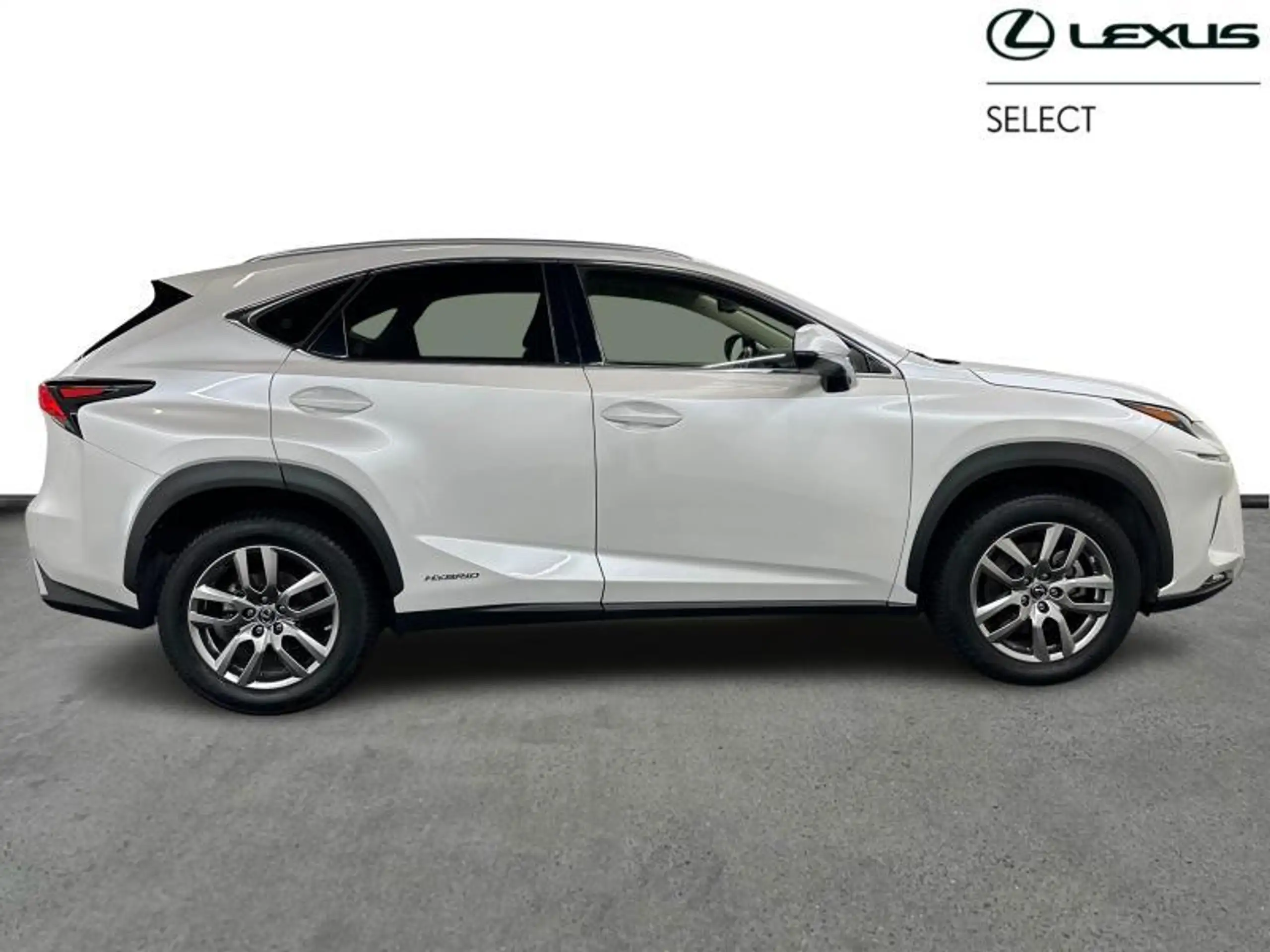 Lexus - NX 300h