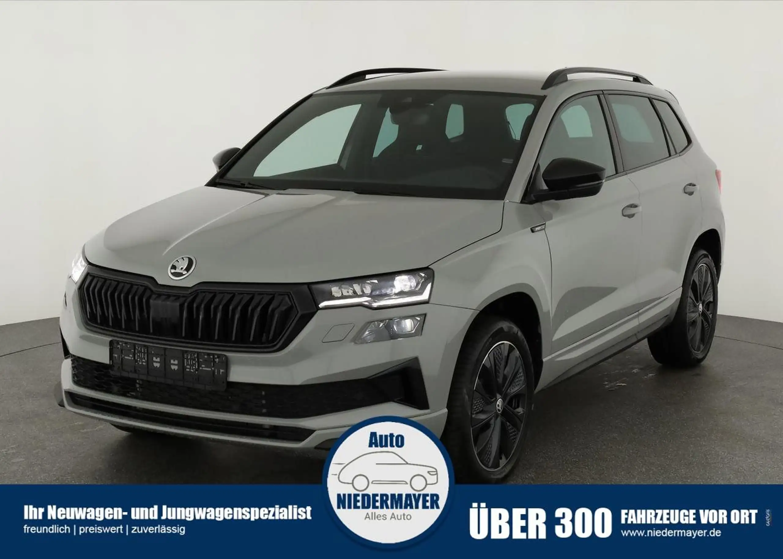 Skoda - Karoq