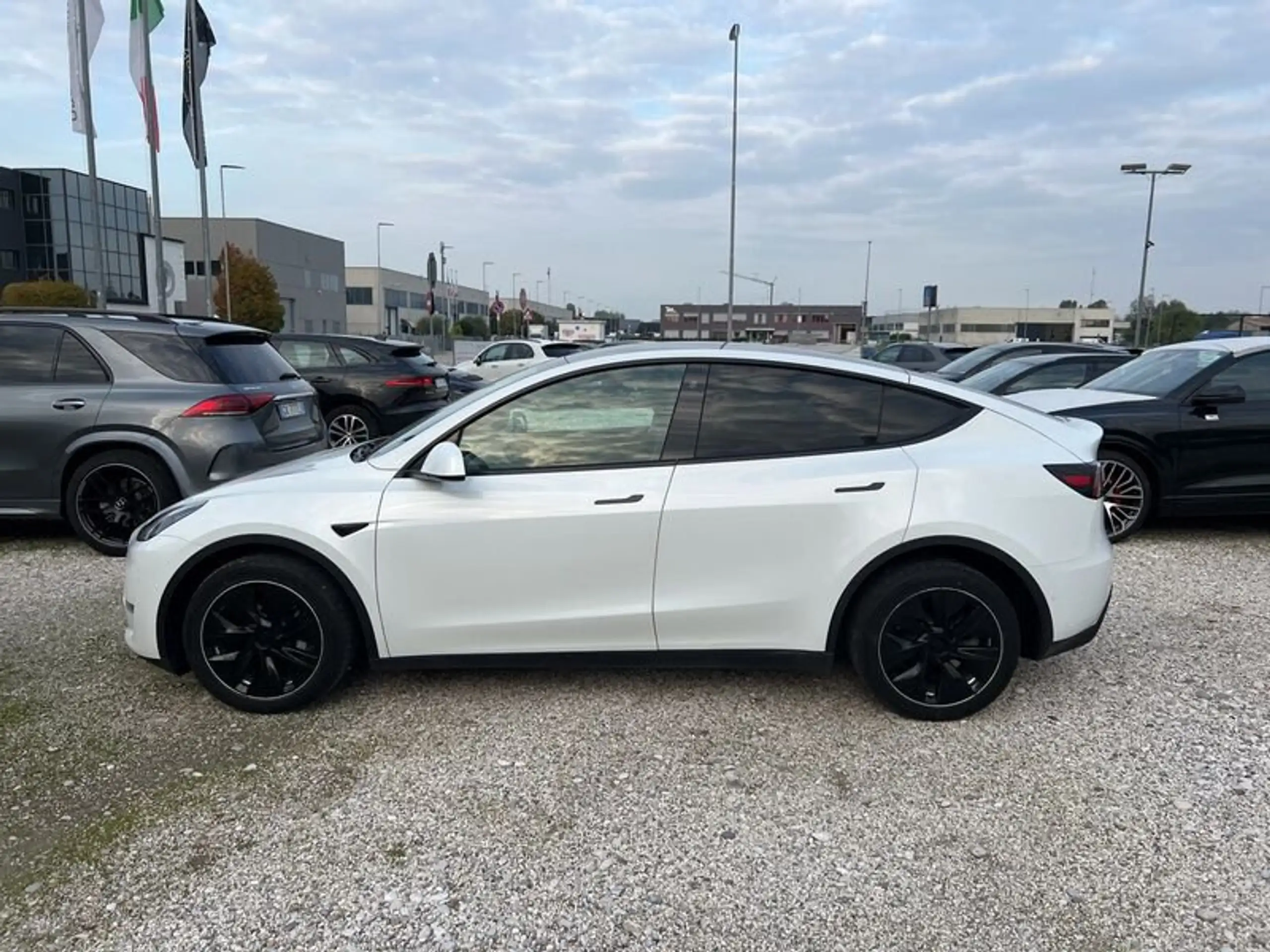 Tesla - Model Y