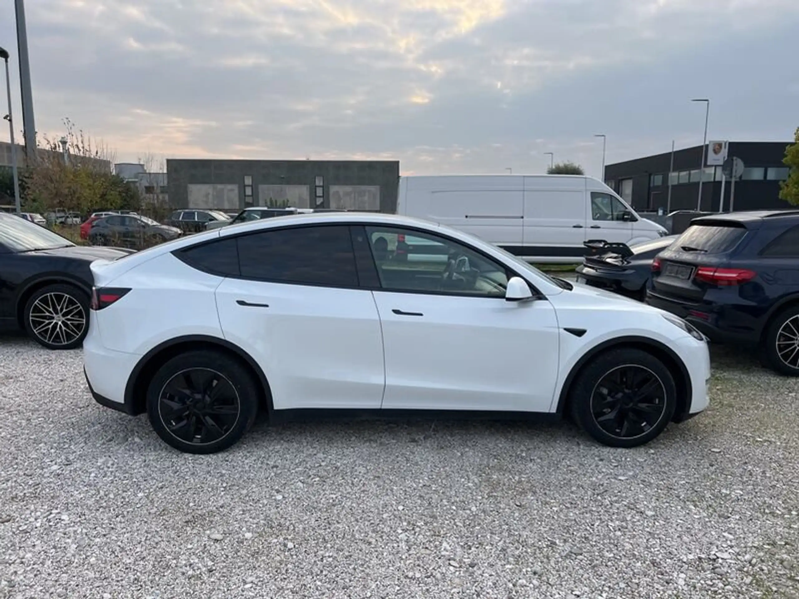 Tesla - Model Y