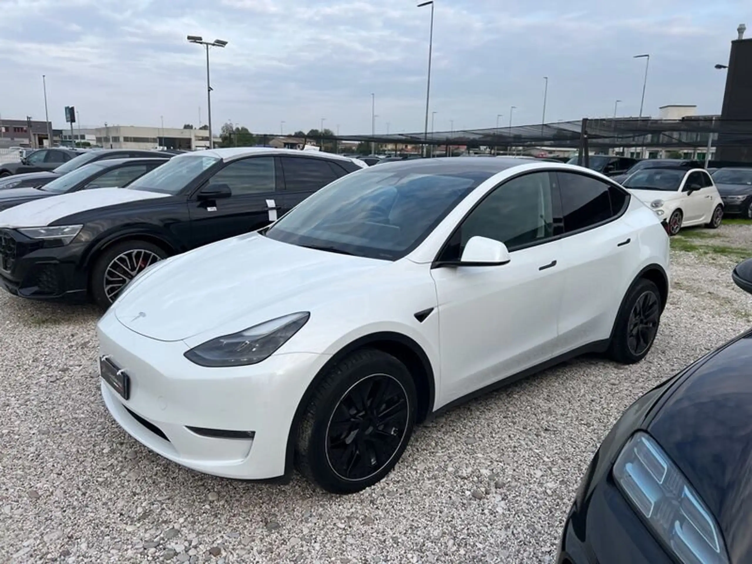 Tesla - Model Y