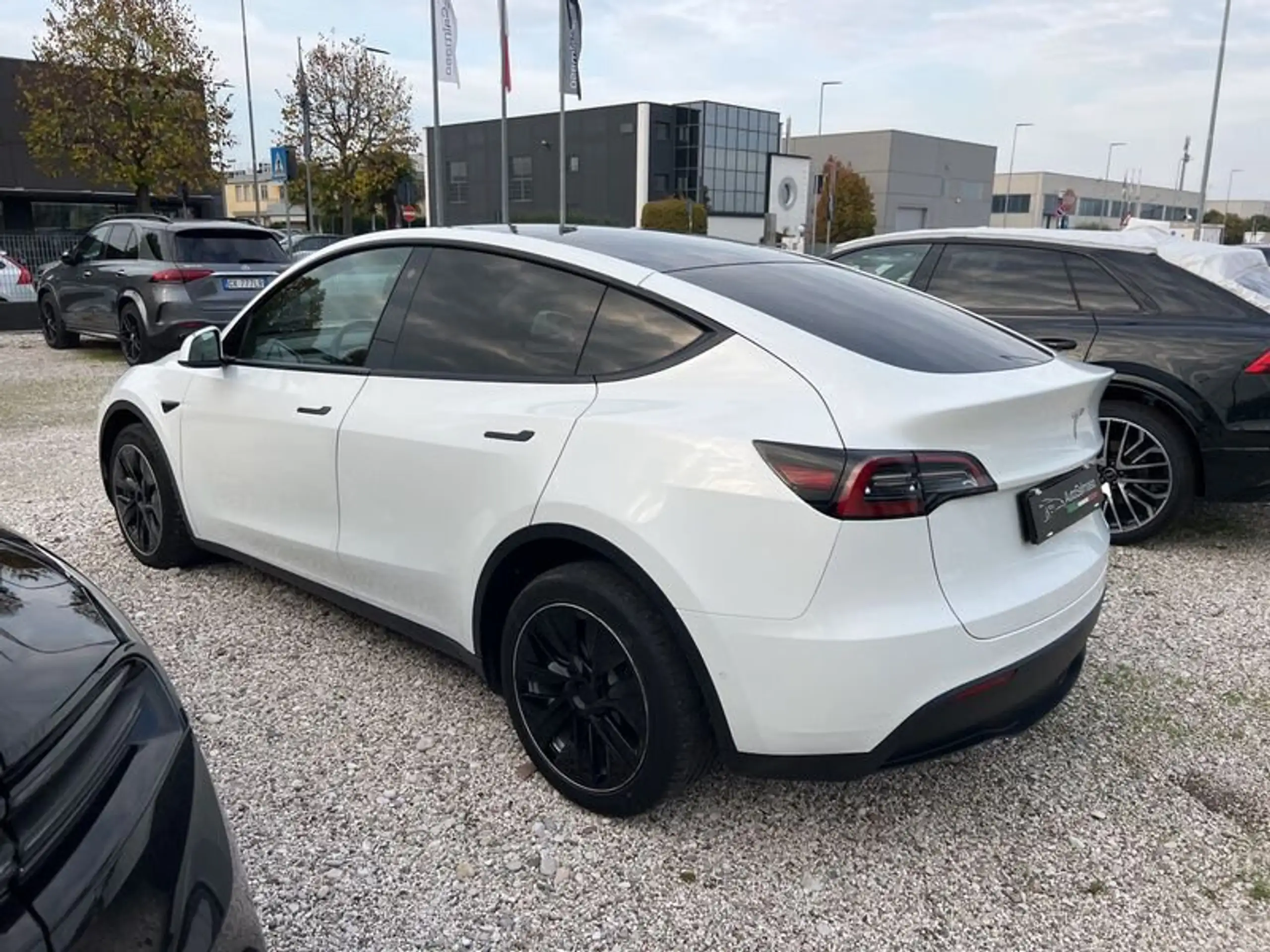 Tesla - Model Y