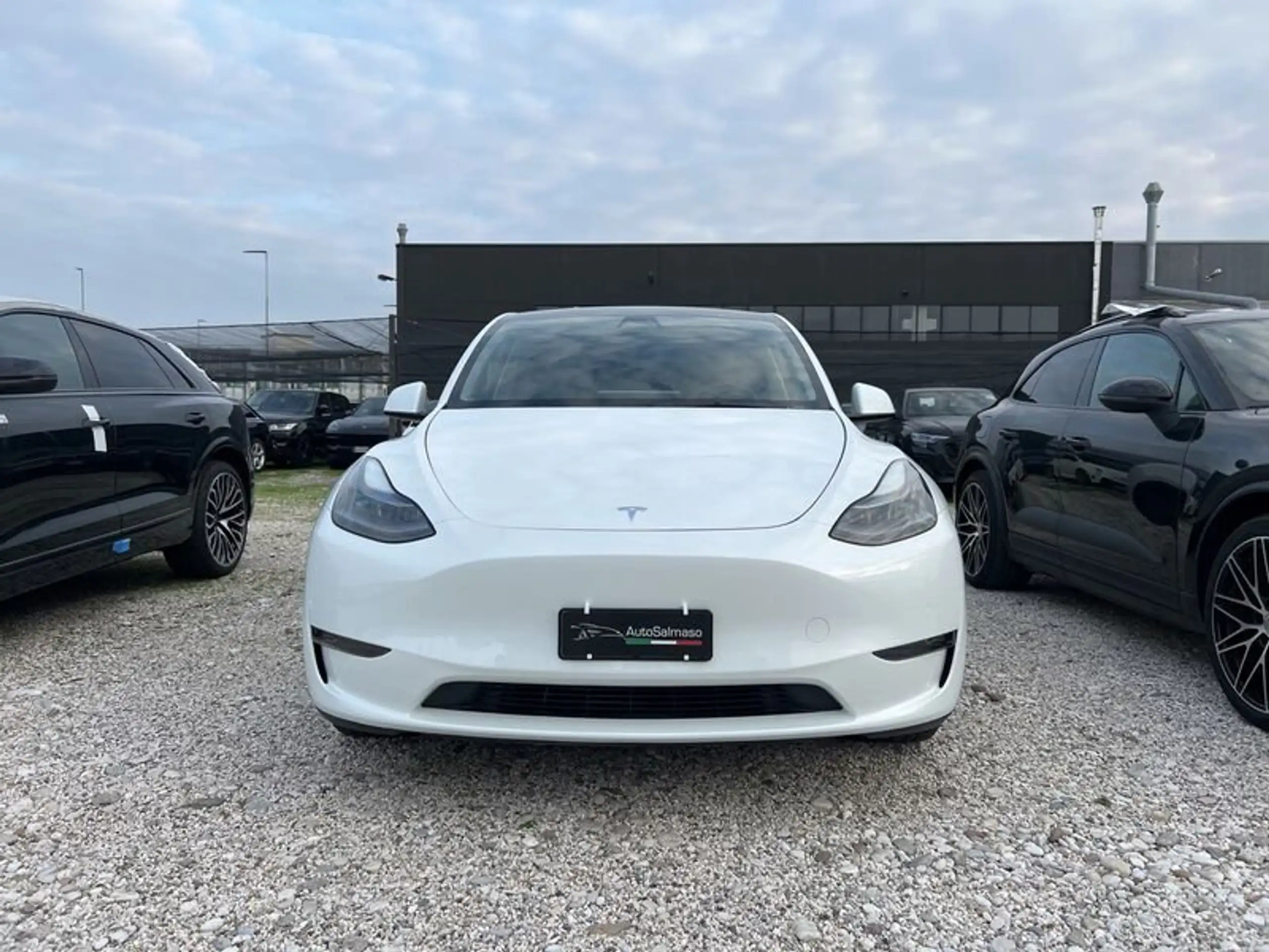 Tesla - Model Y