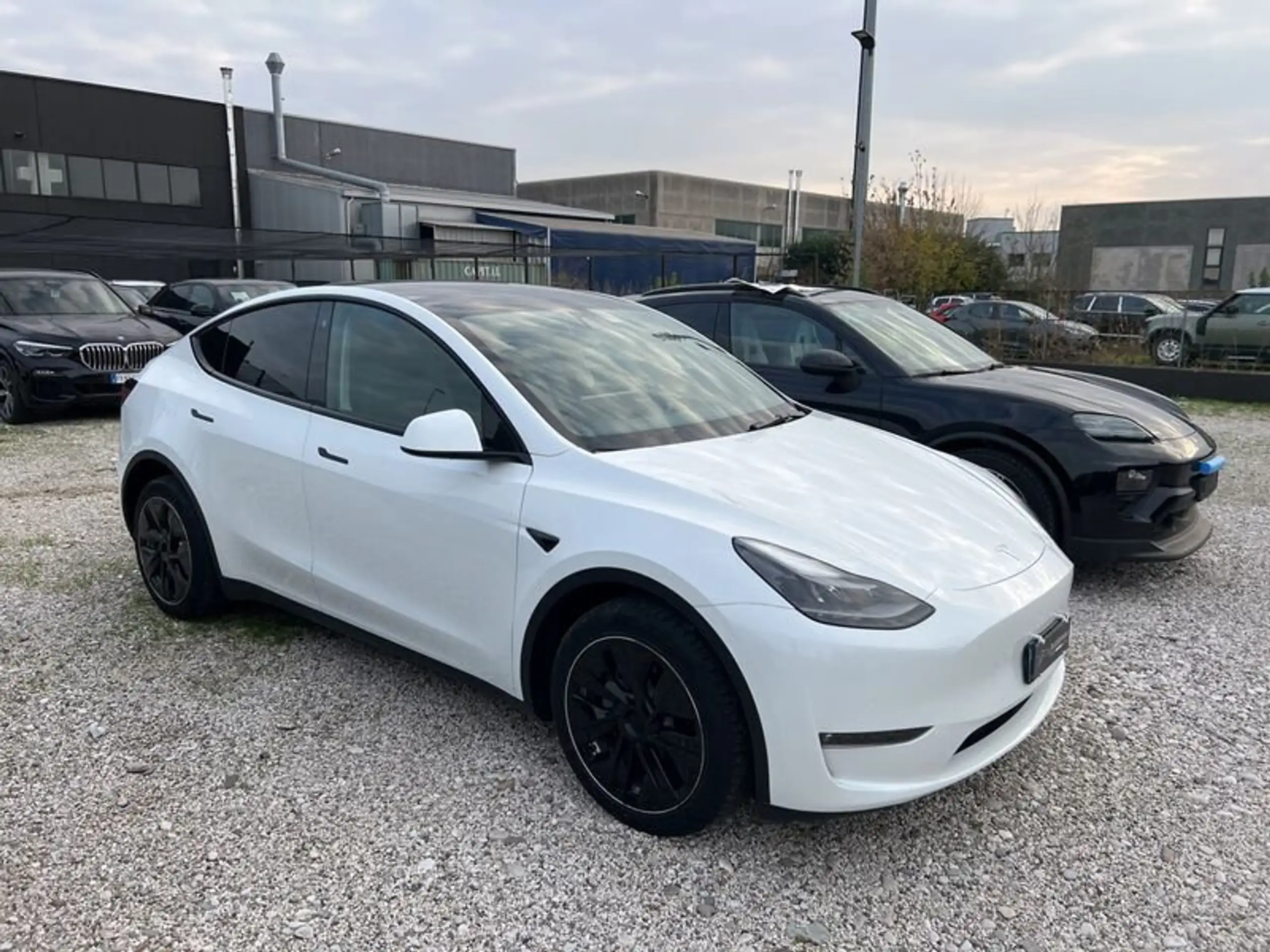 Tesla - Model Y