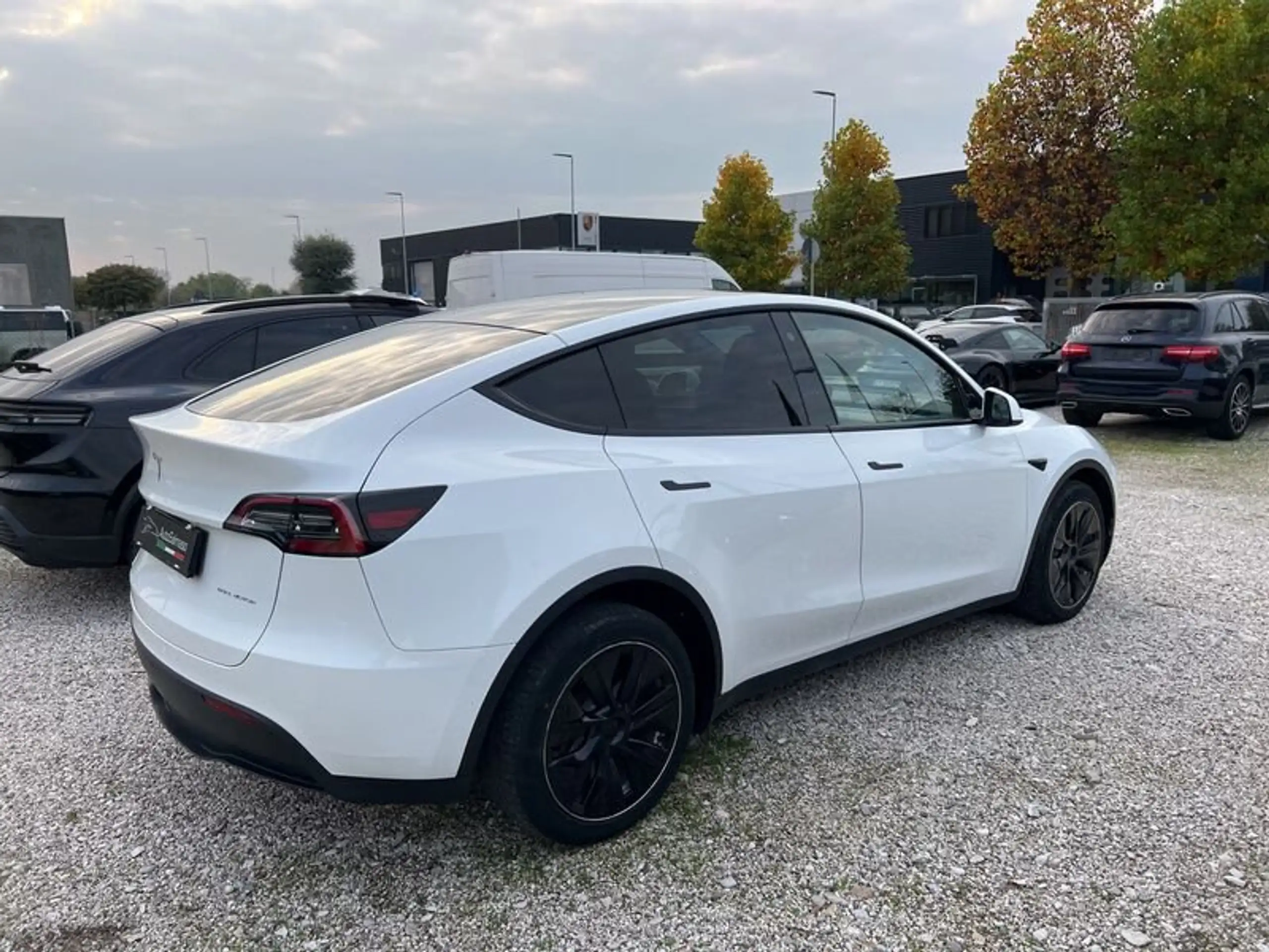 Tesla - Model Y