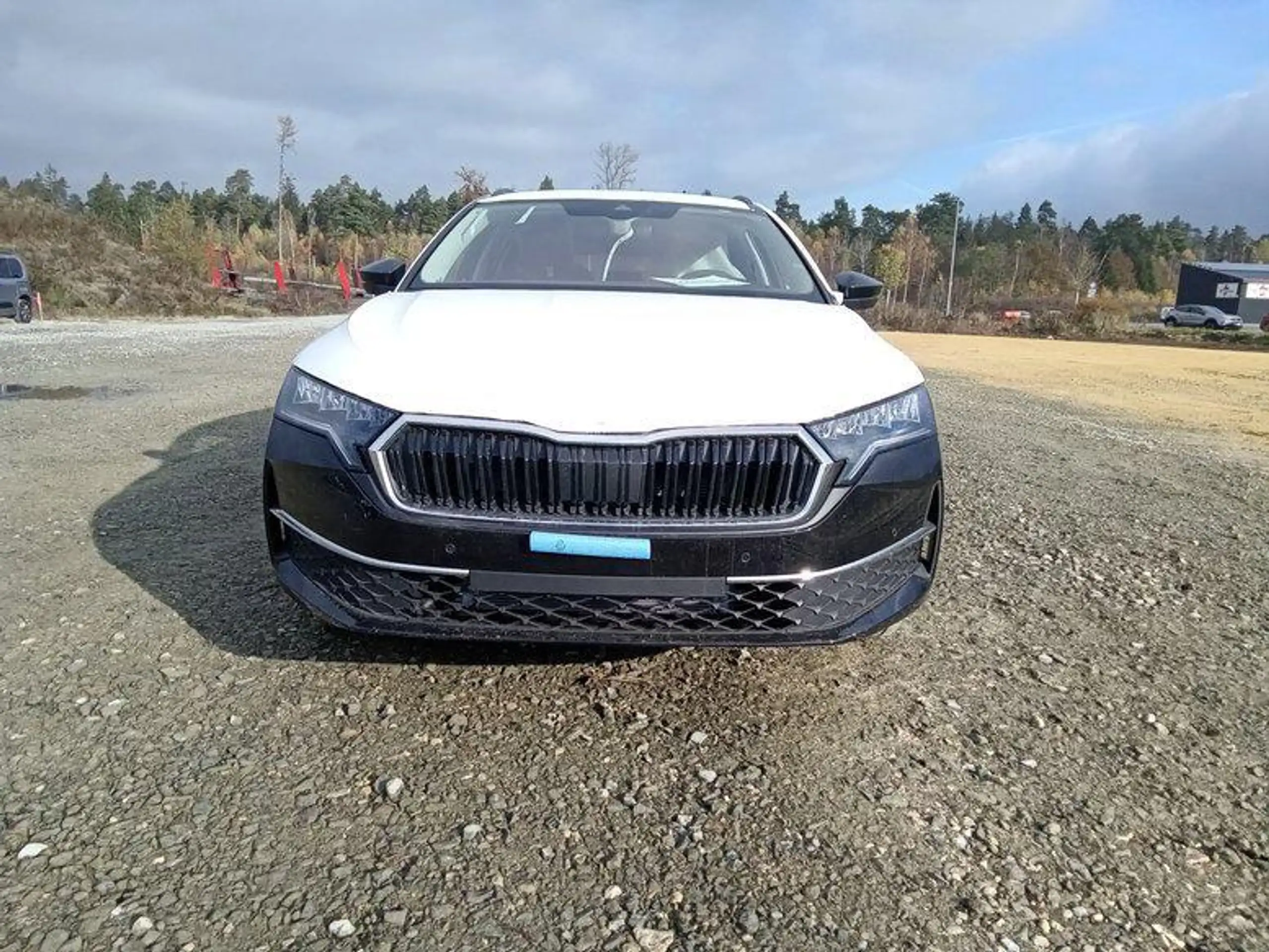 Skoda - Octavia