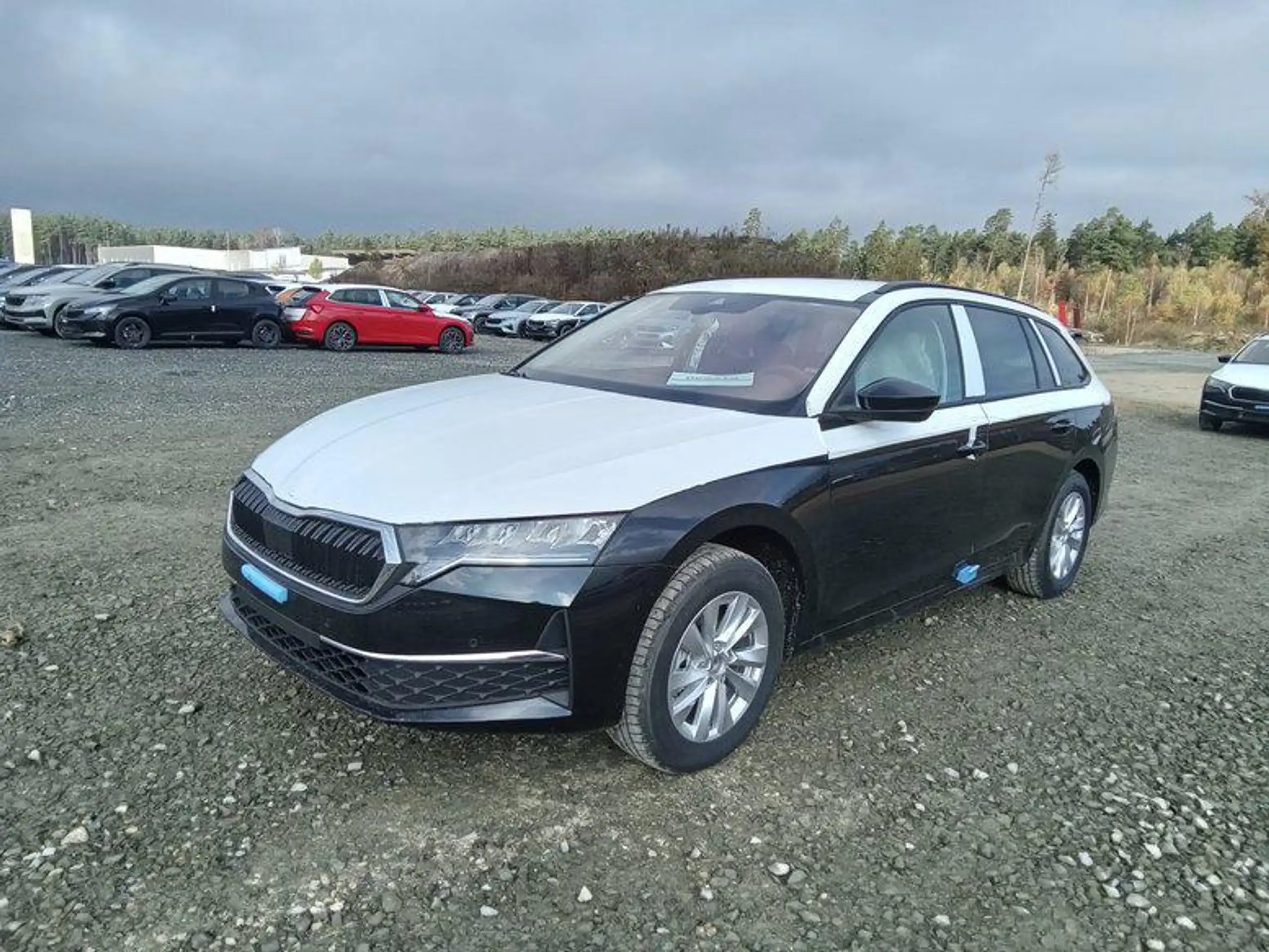 Skoda - Octavia