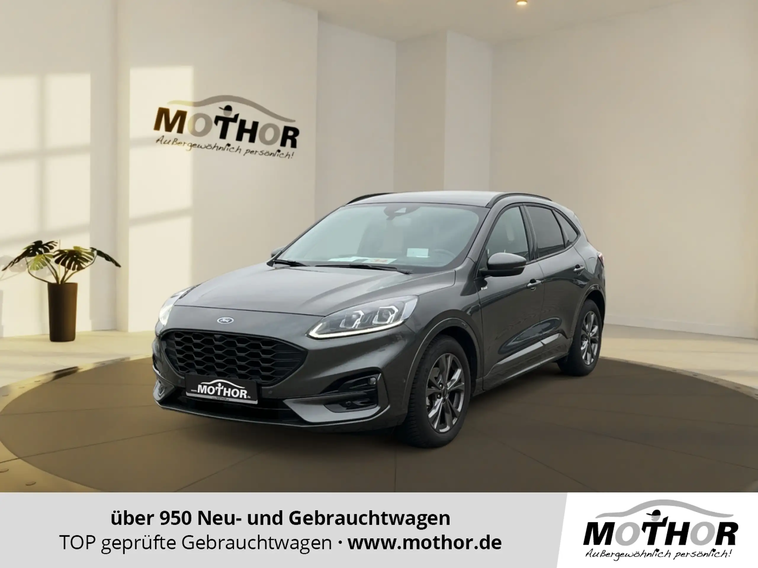 Ford Kuga 2024