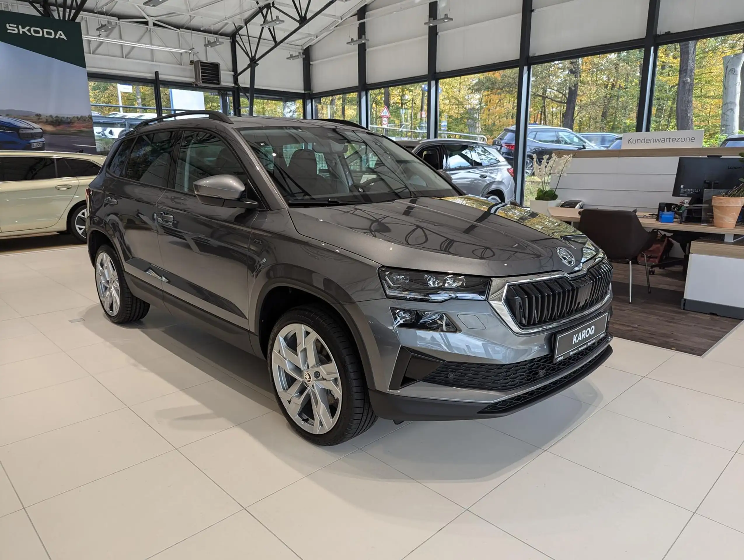 Skoda - Karoq