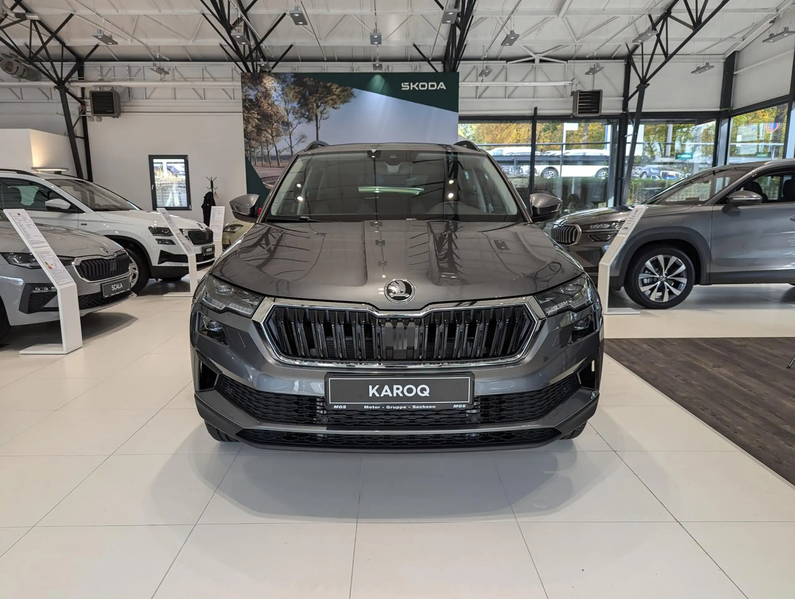 Skoda - Karoq