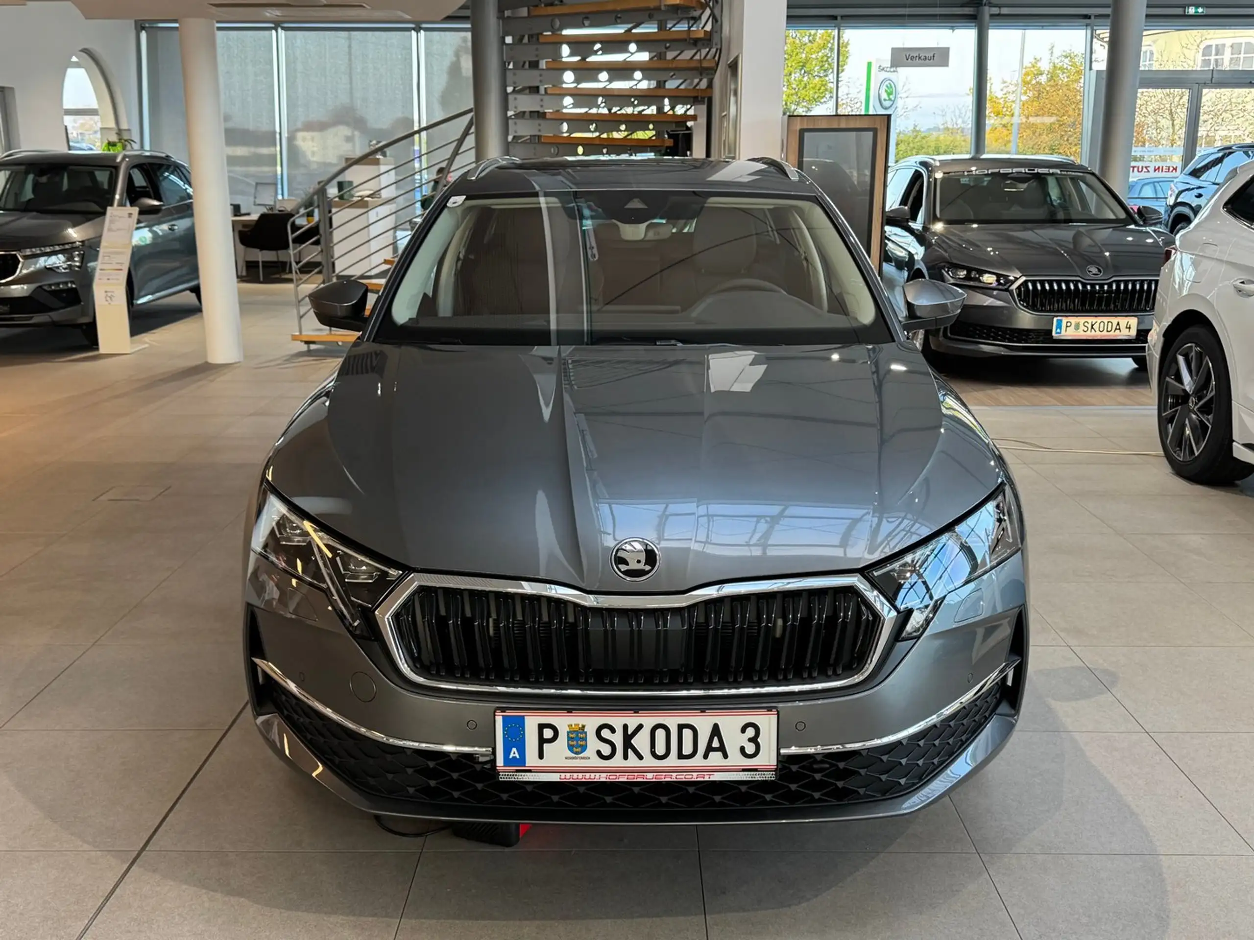 Skoda - Octavia