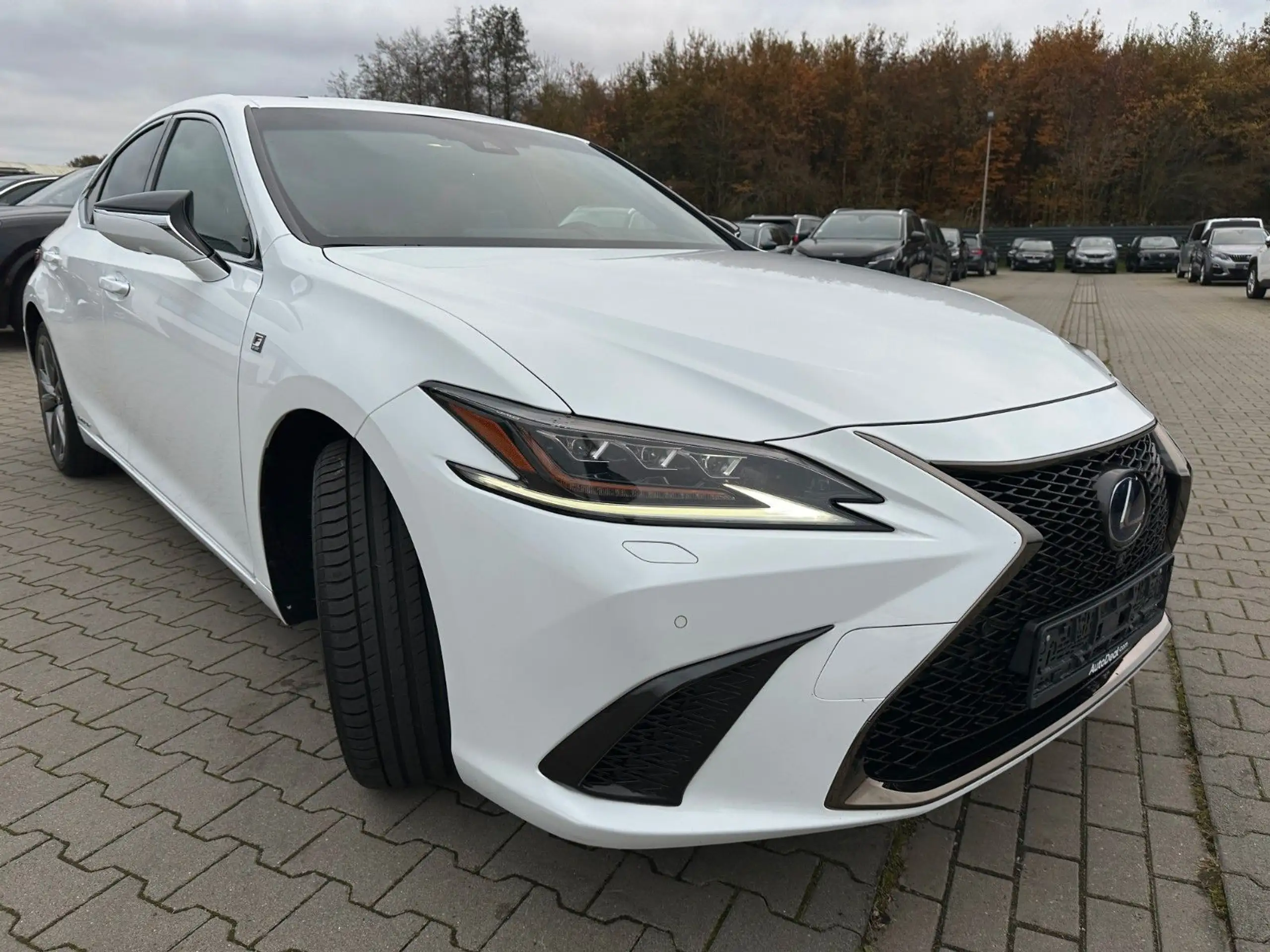 Lexus - ES 300