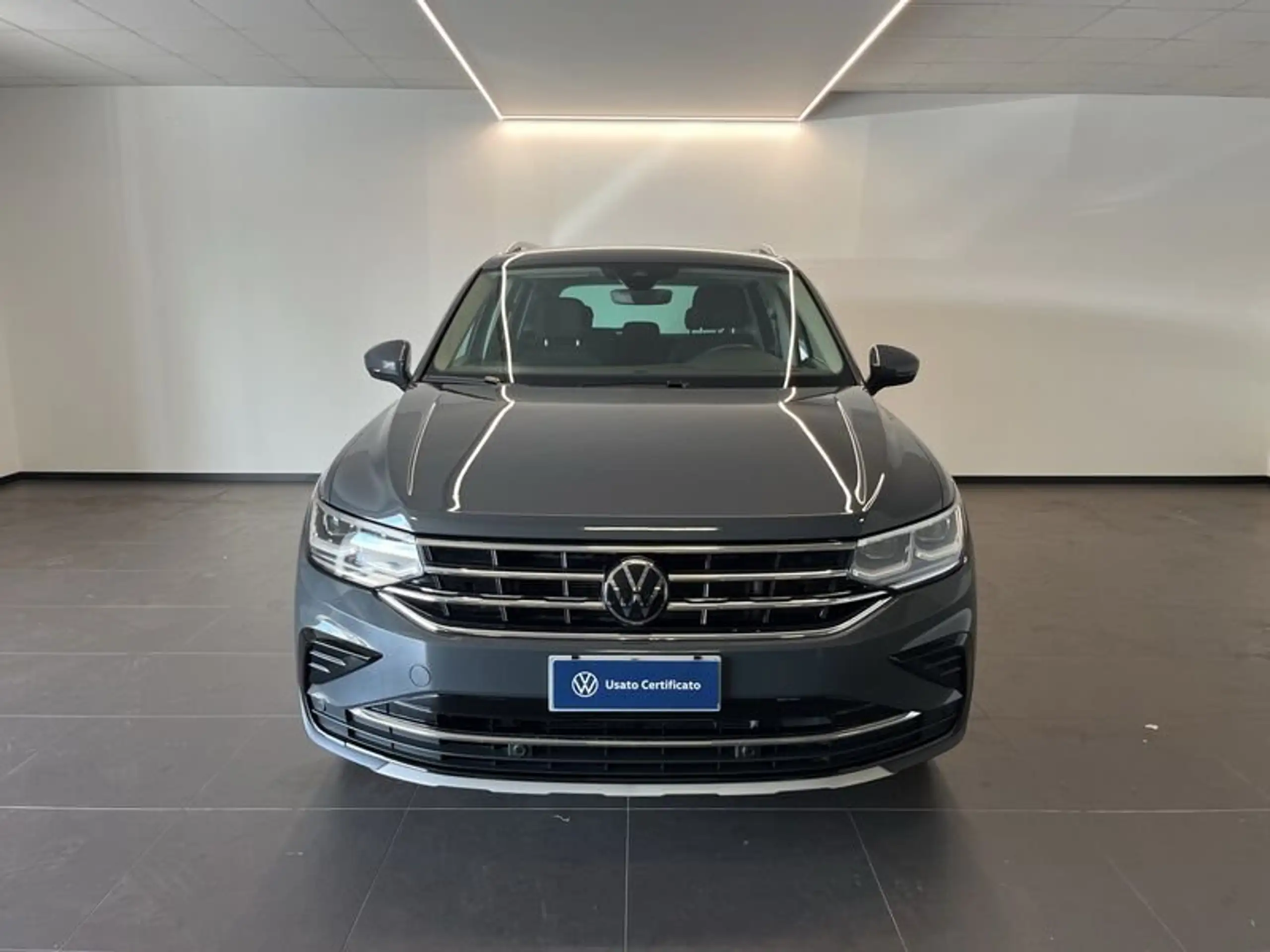 Volkswagen - Tiguan