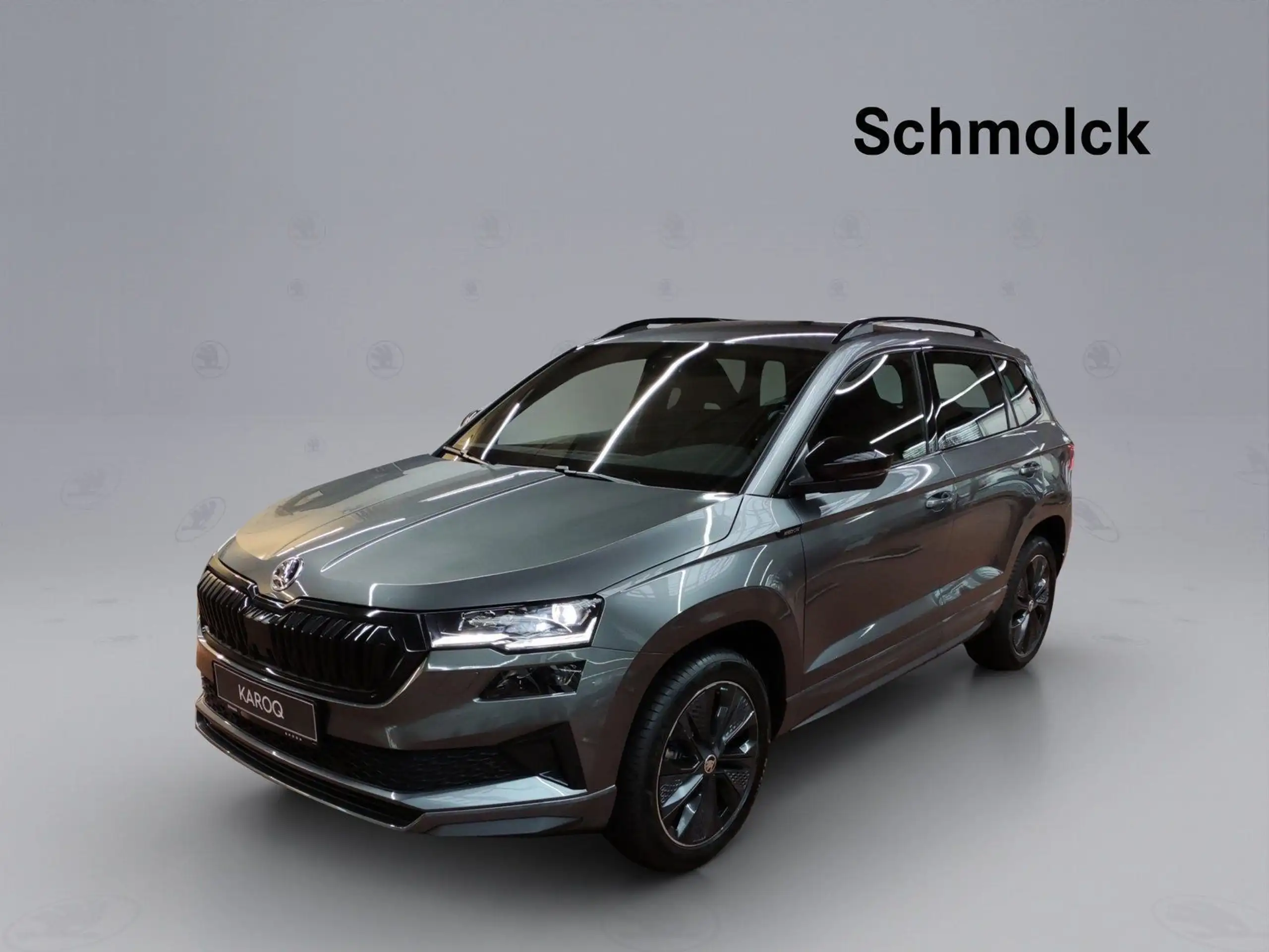 Skoda - Karoq