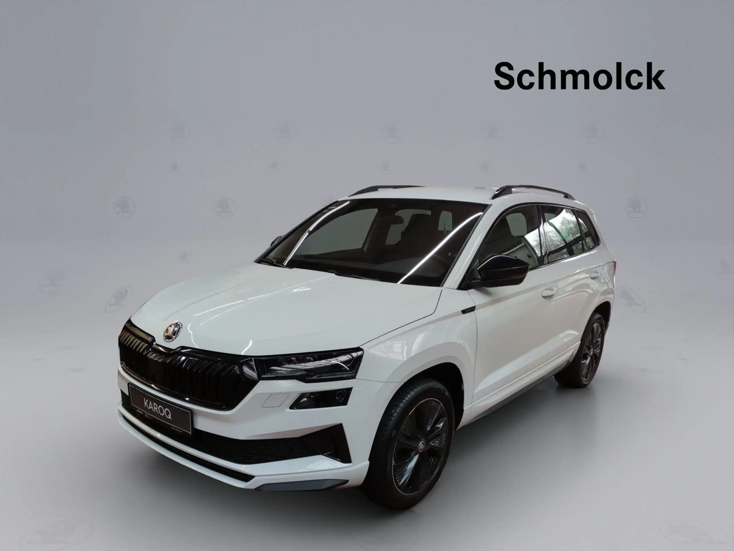 Skoda - Karoq