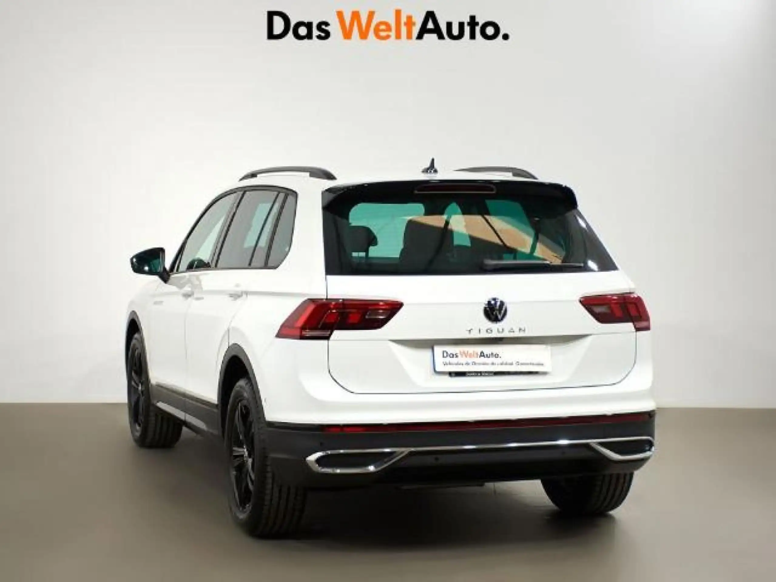 Volkswagen - Tiguan