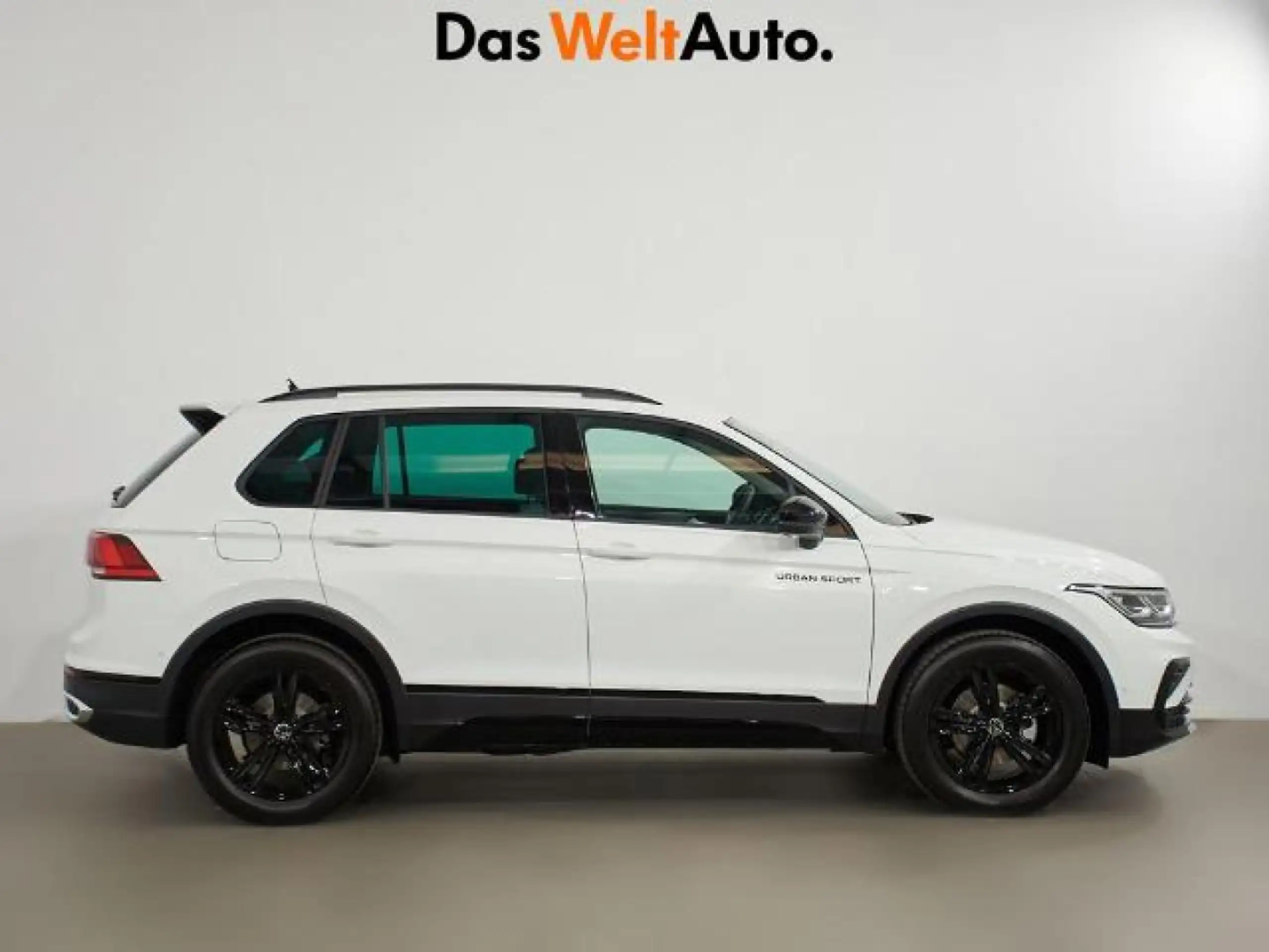 Volkswagen - Tiguan