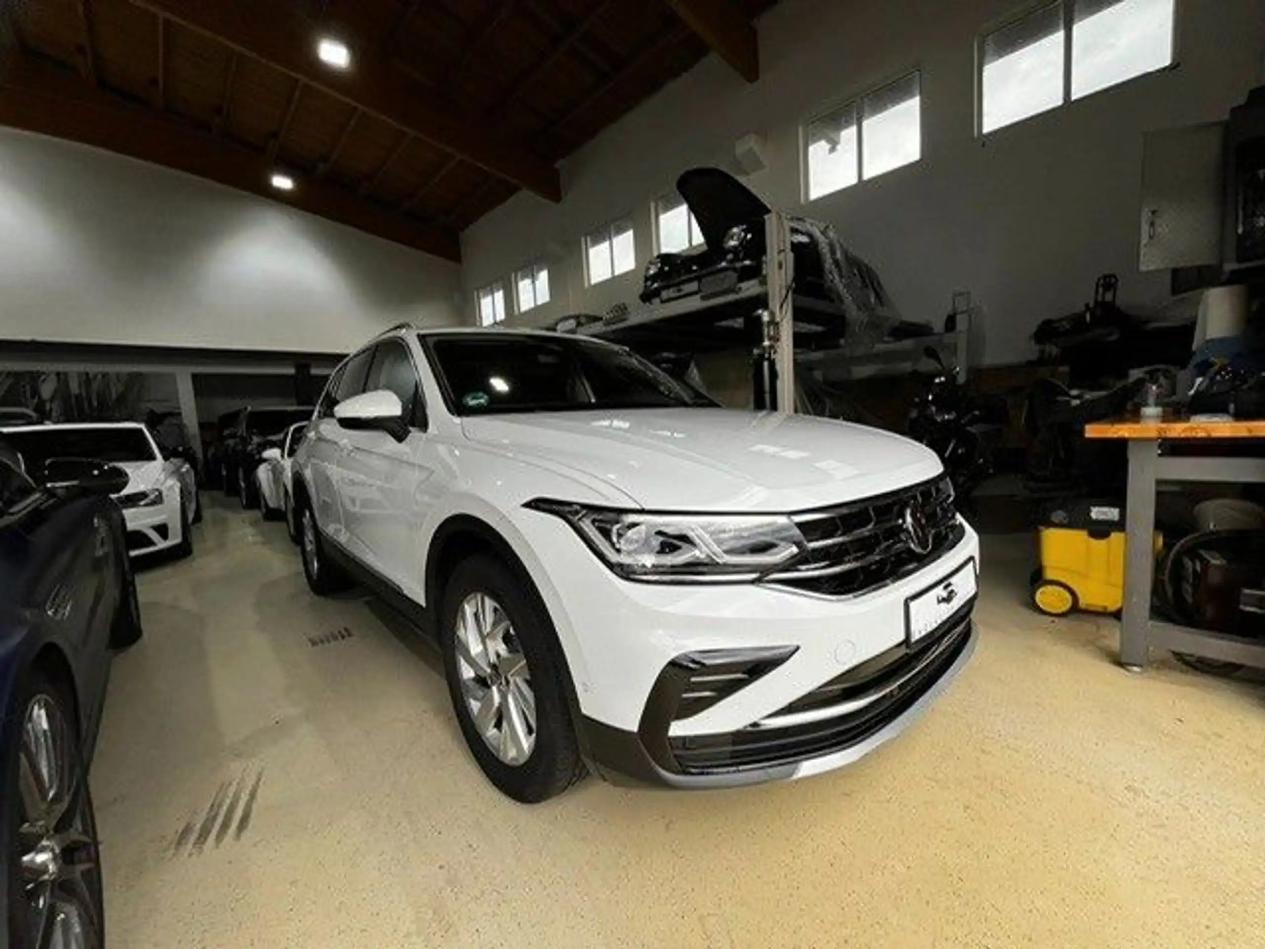 Volkswagen - Tiguan